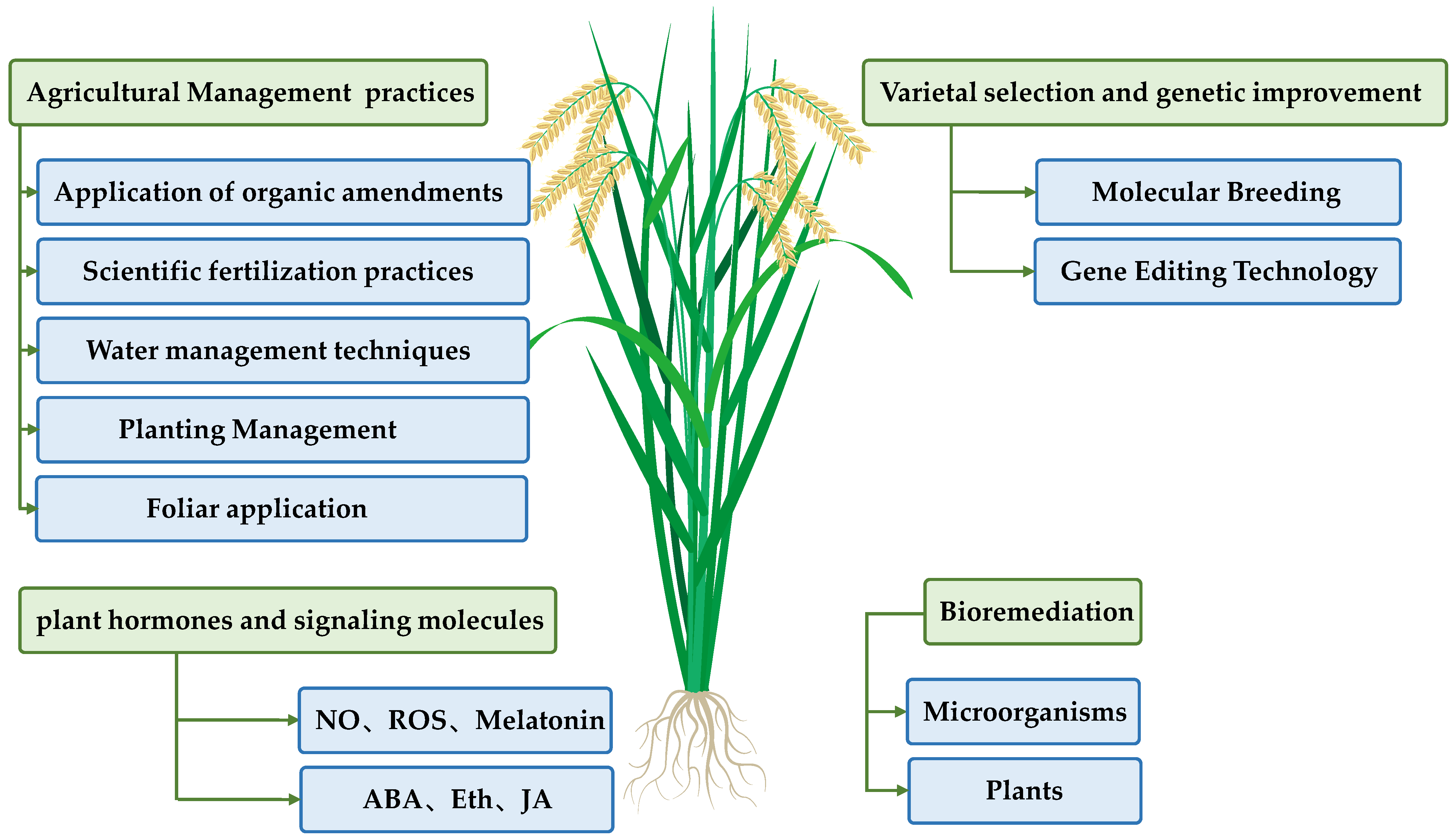 Plants 14 02844 g003