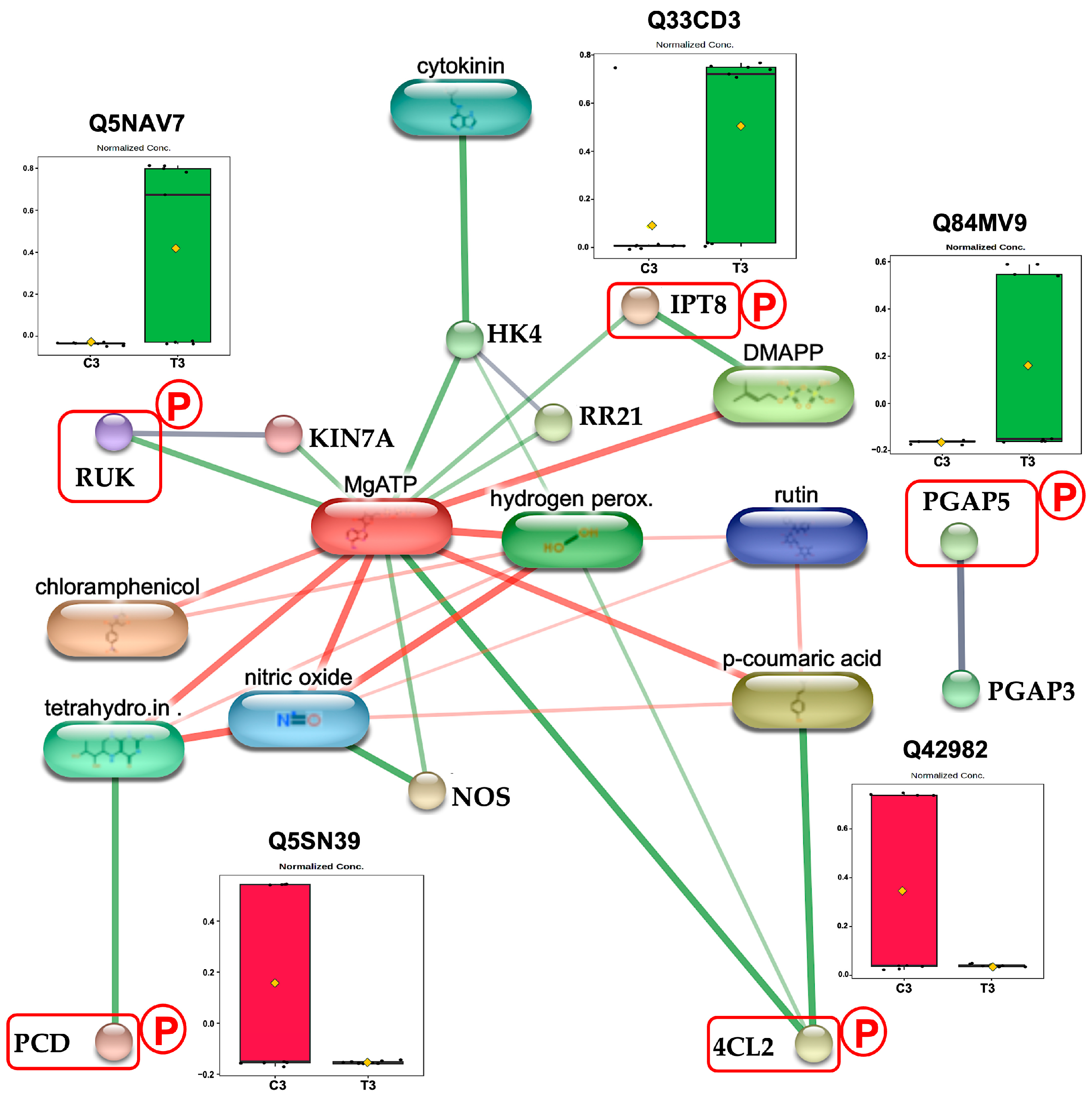 Plants 14 02845 g006 Plants 14 02845 g006