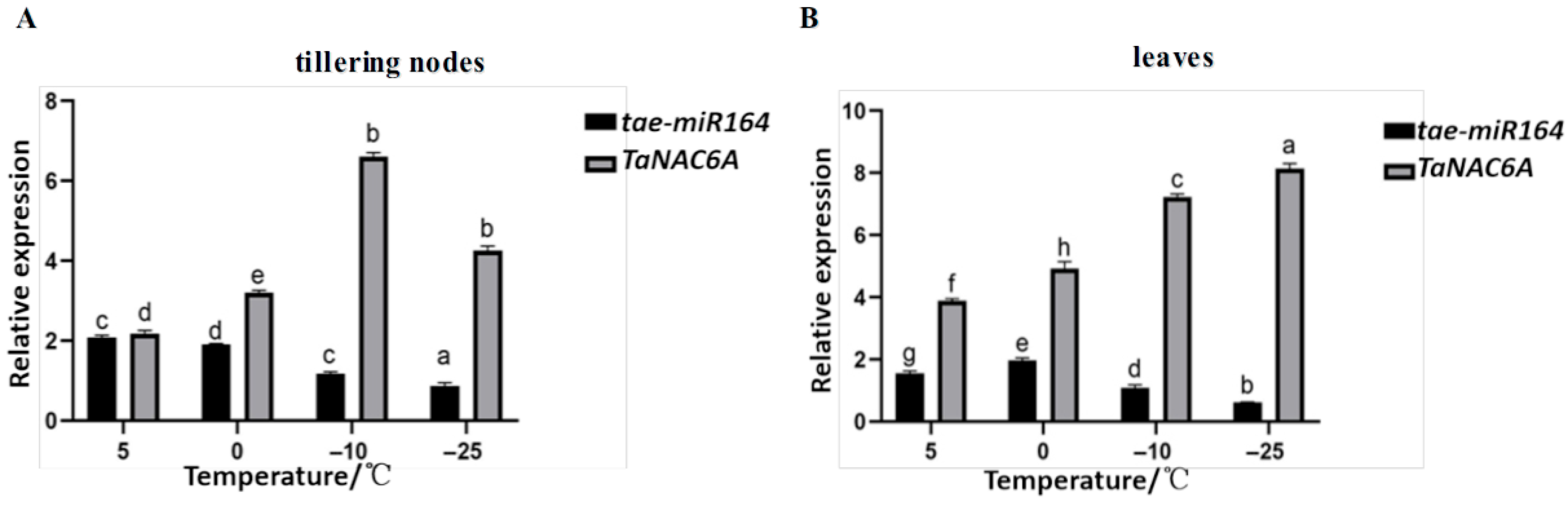 Plants 14 02849 g001 Plants 14 02849 g001