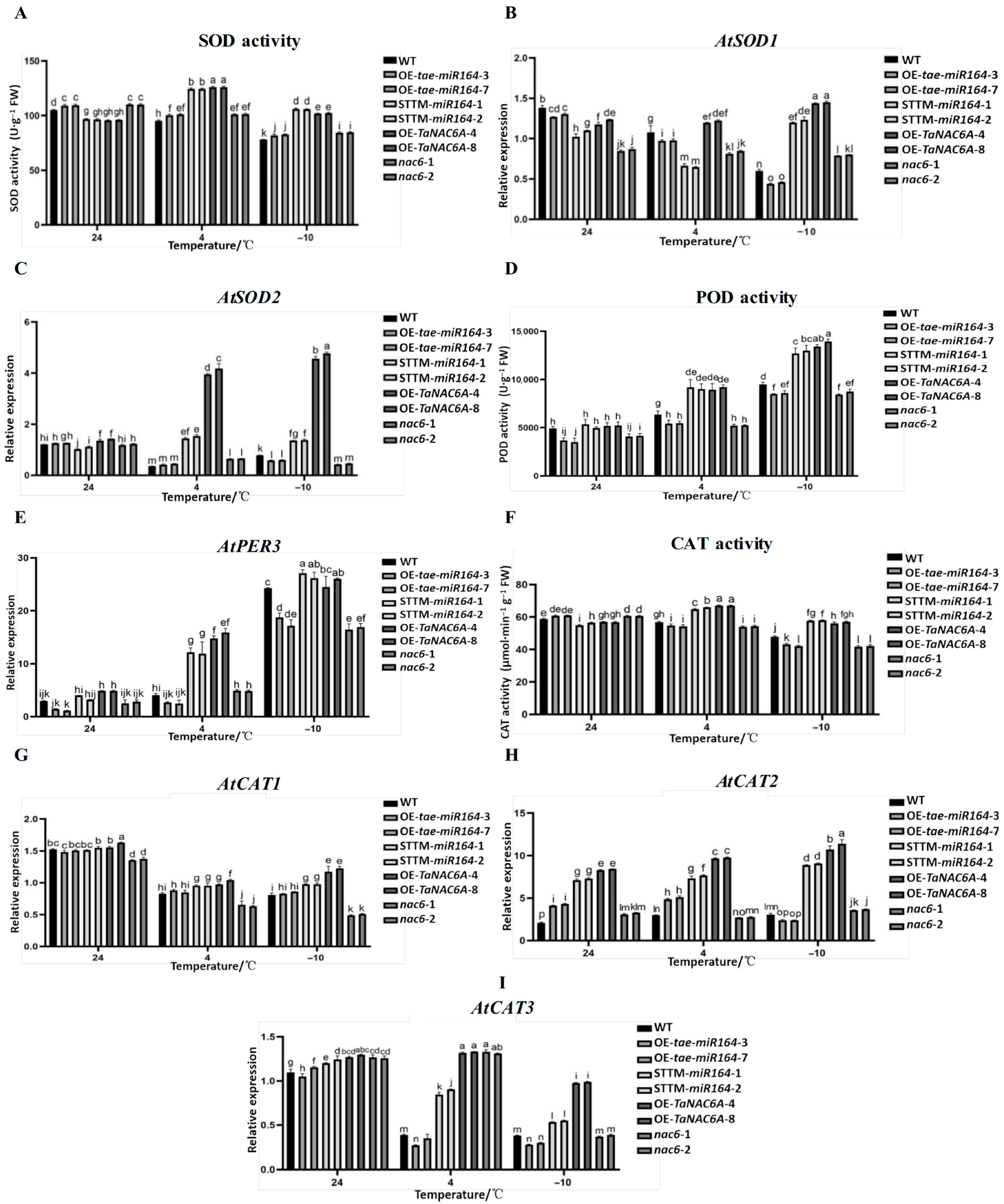Plants 14 02849 g016 Plants 14 02849 g016