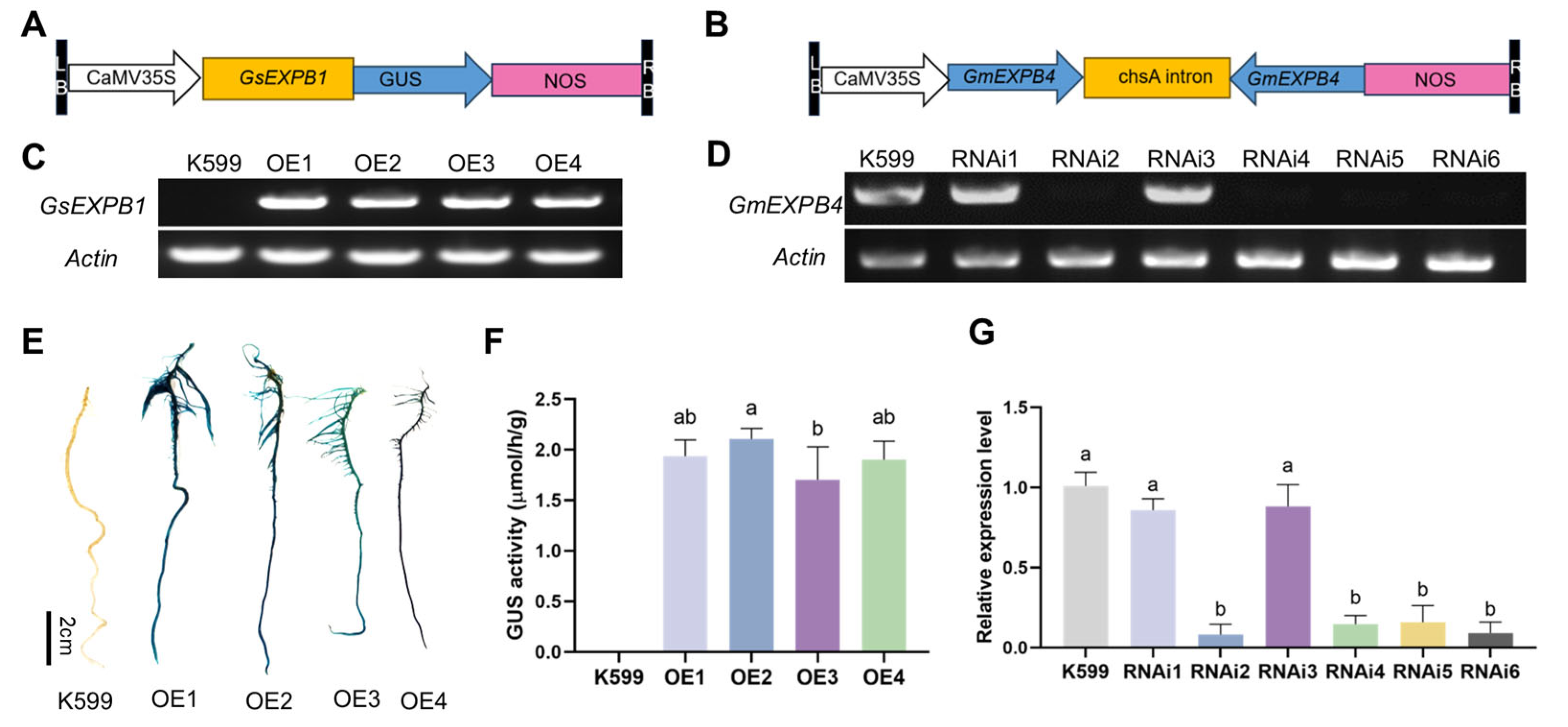 Plants 14 02851 g001
