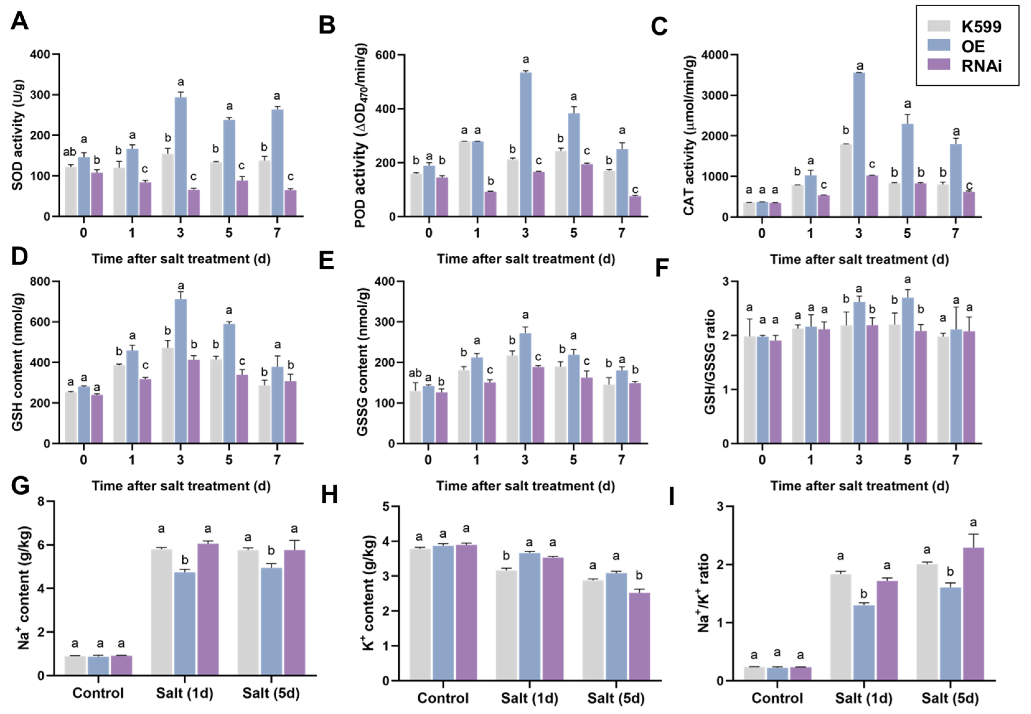Plants 14 02851 g003