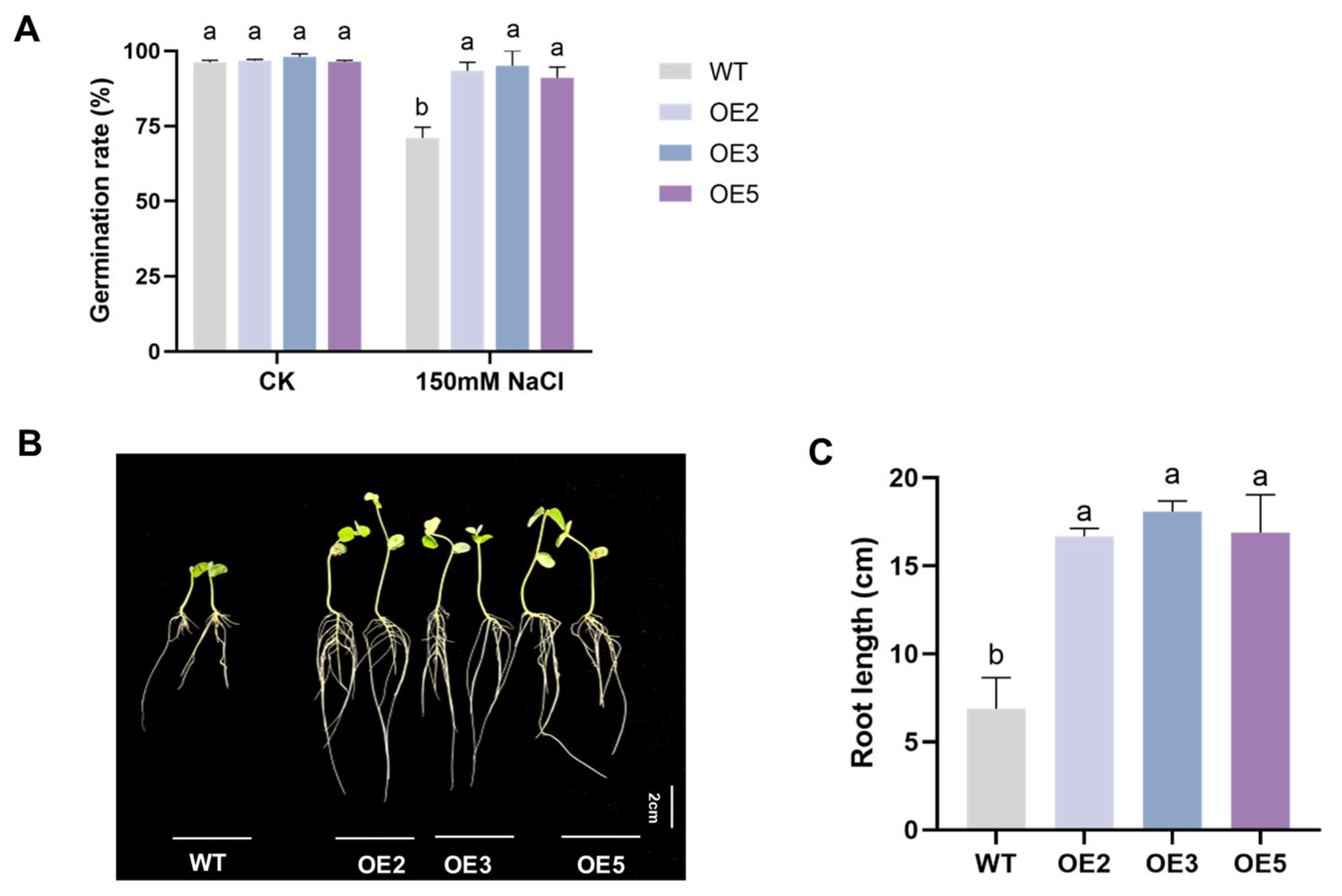 Plants 14 02851 g005