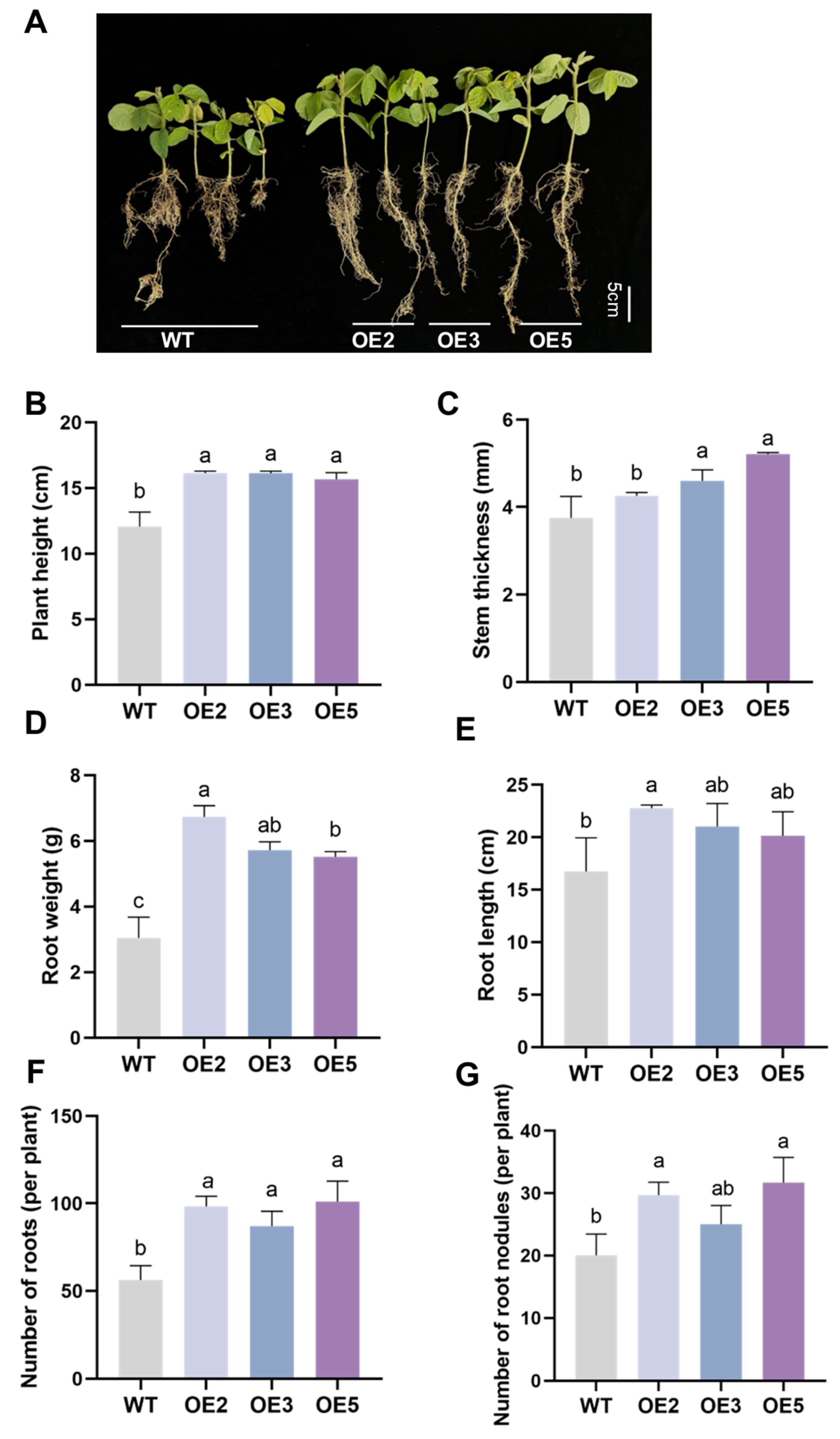 Plants 14 02851 g006