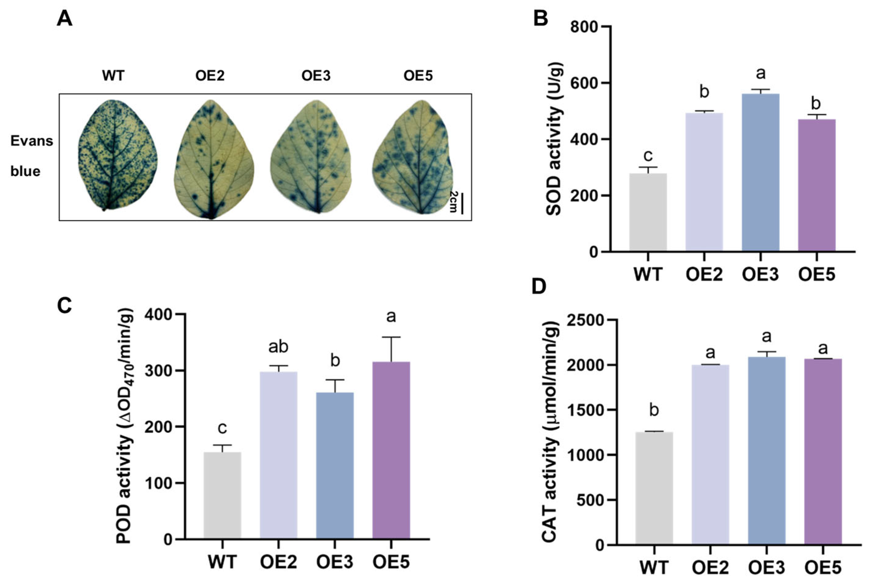 Plants 14 02851 g009