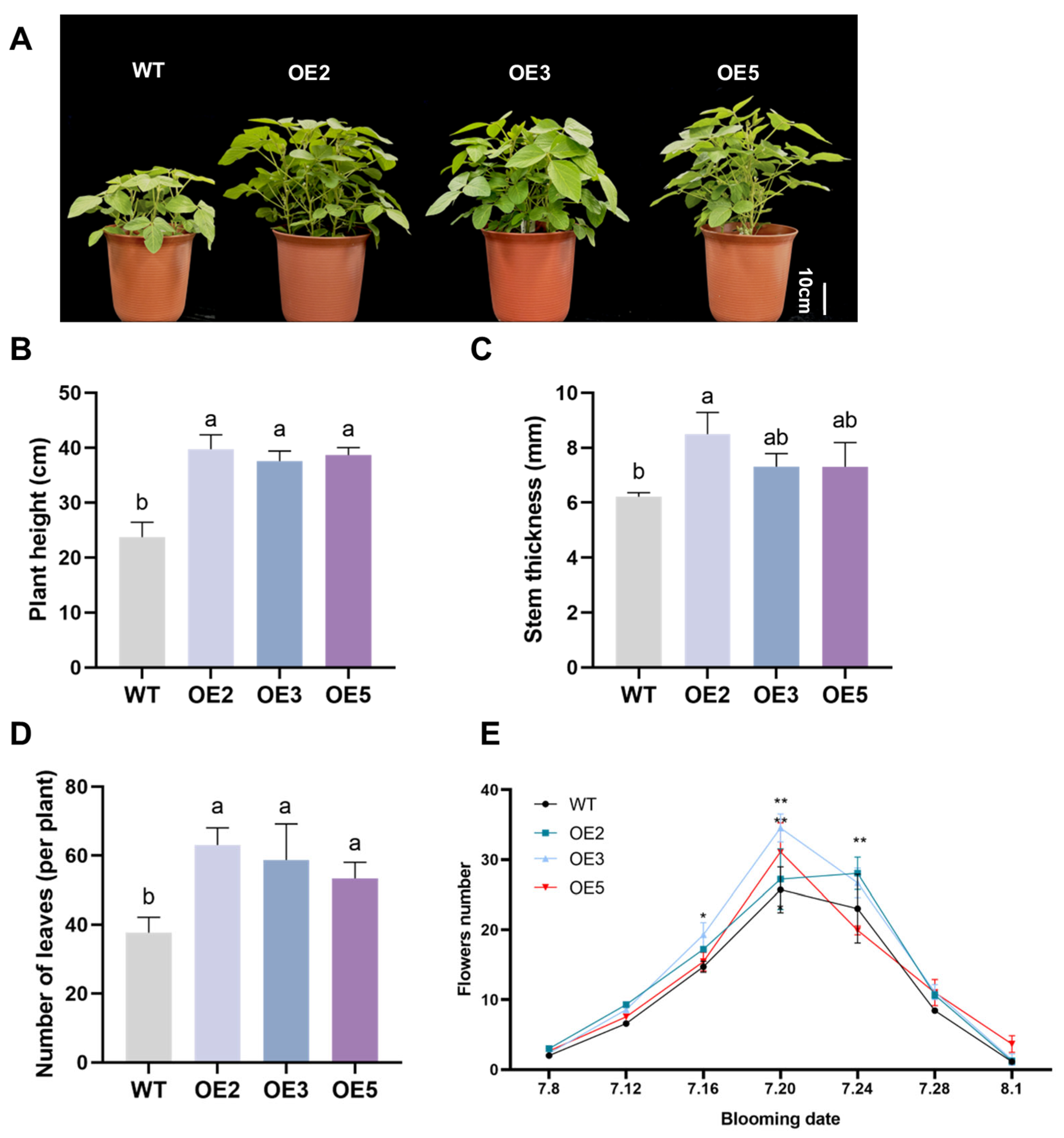 Plants 14 02851 g011