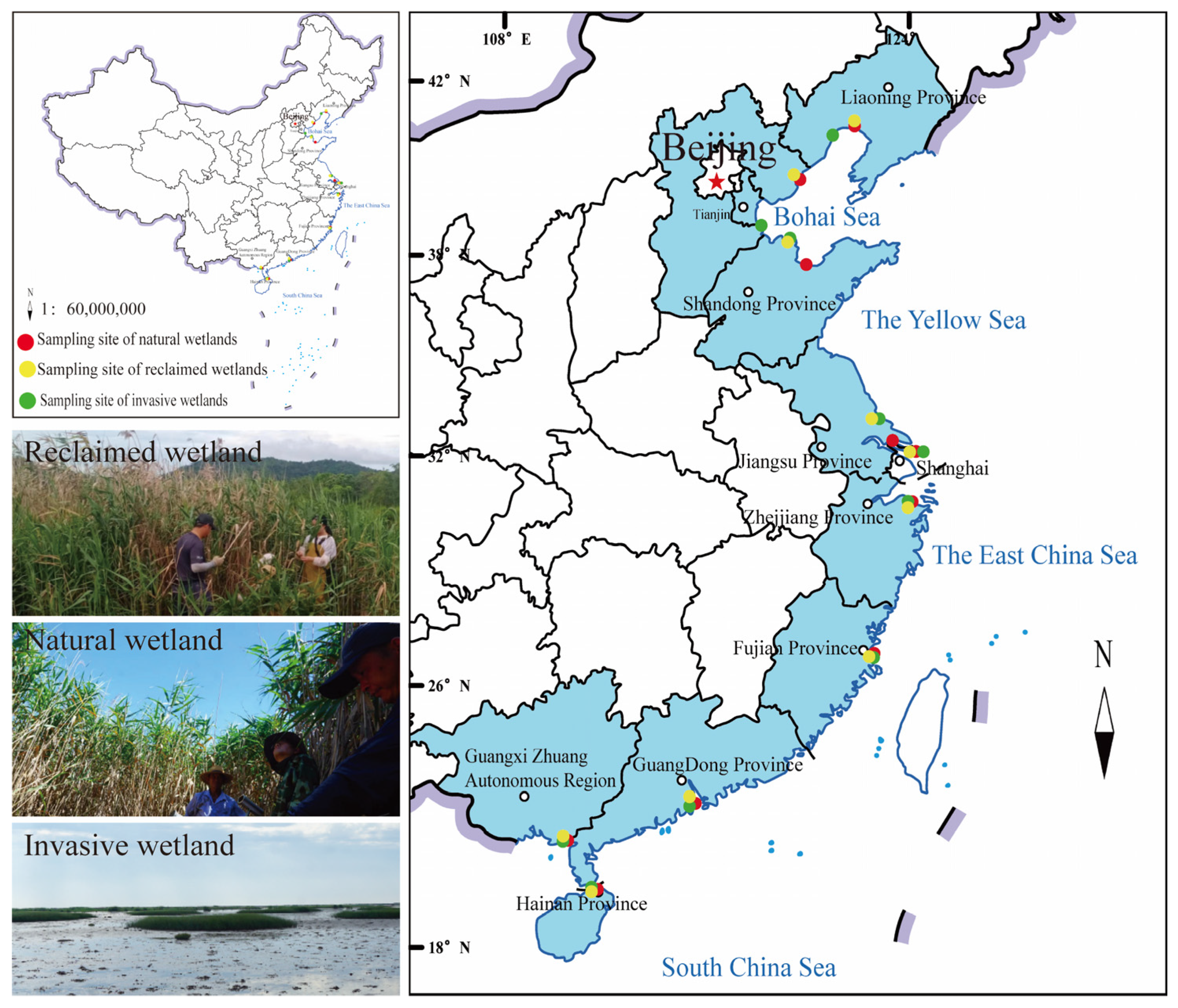 Plants 14 02852 g001