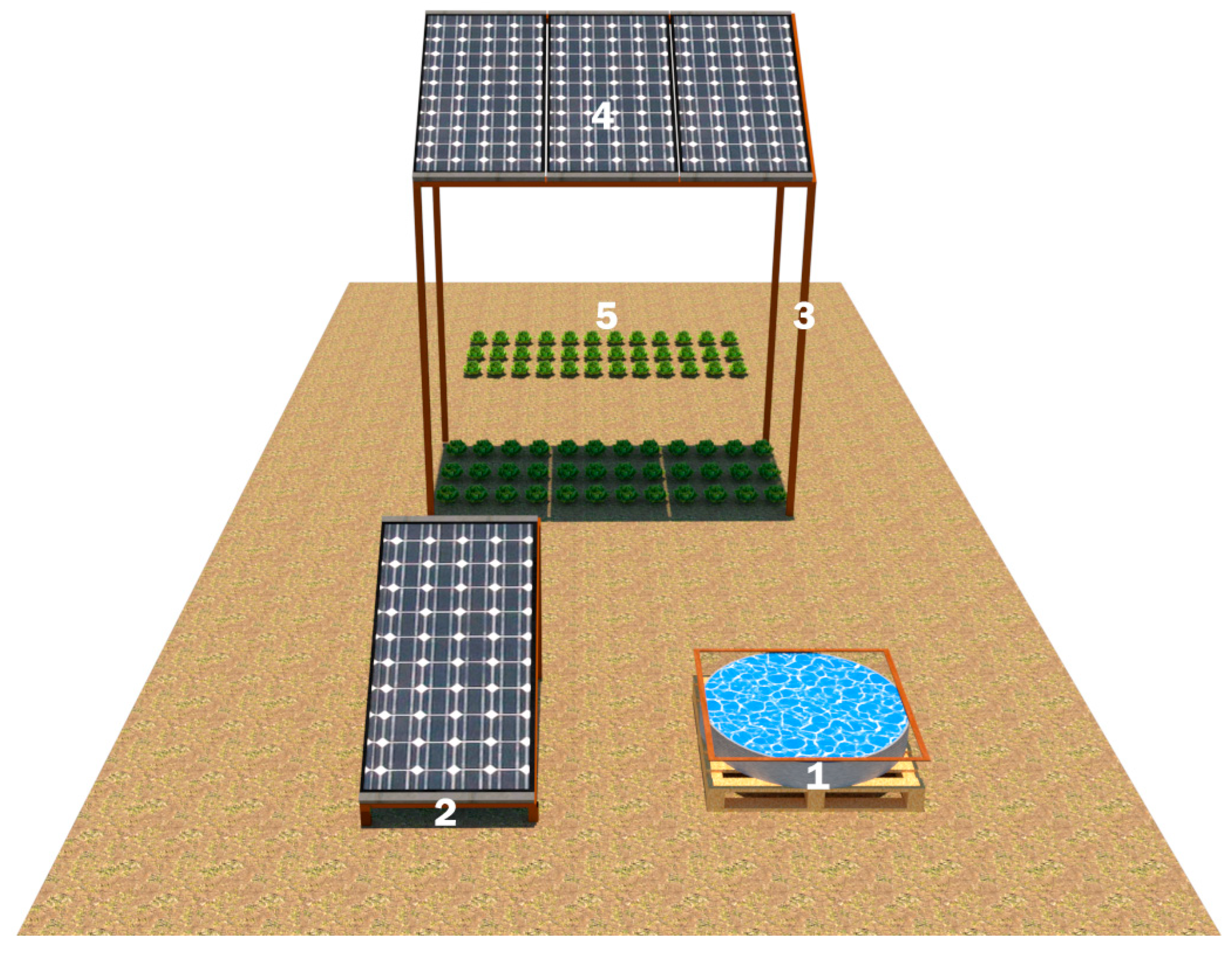 Plants 14 02853 g009