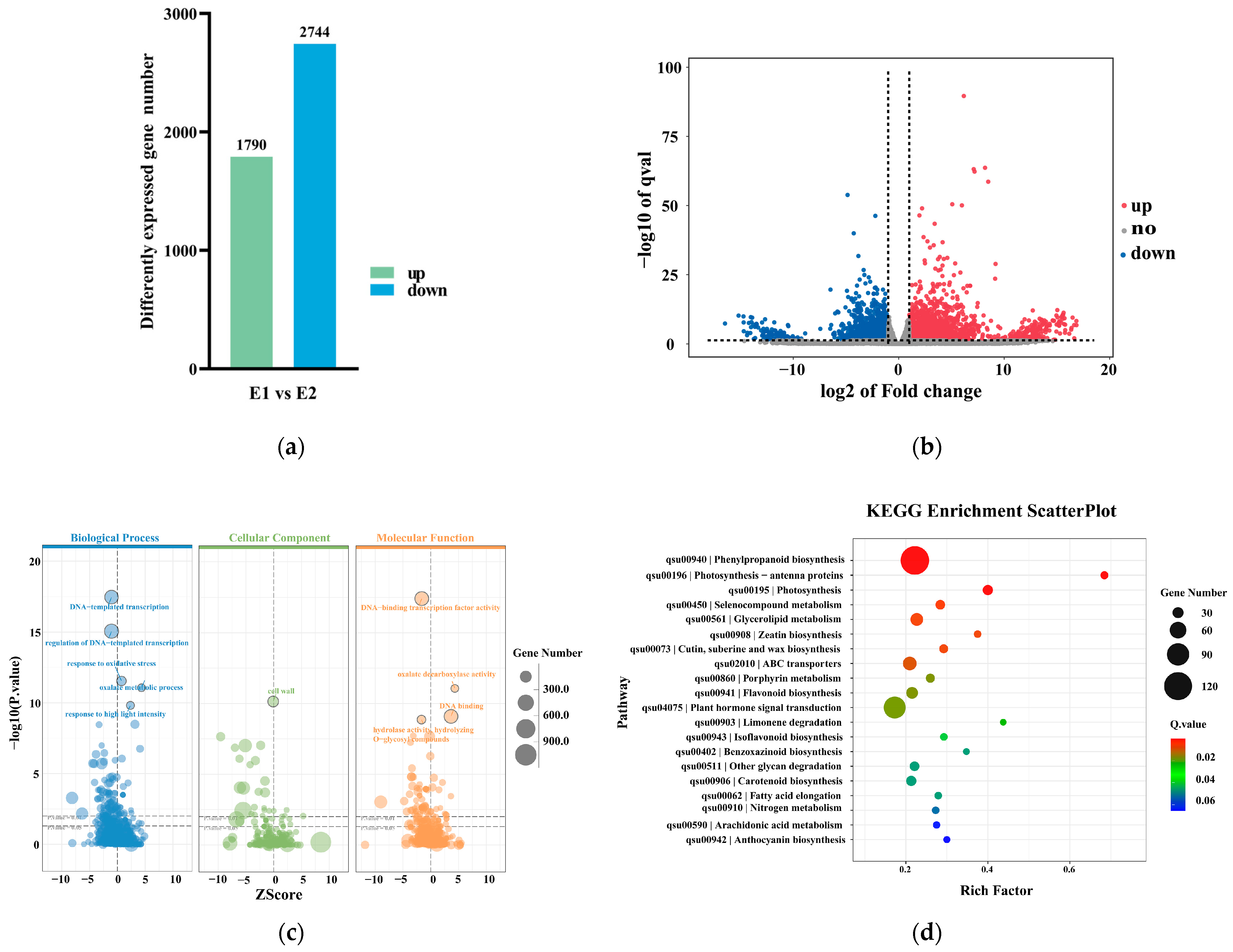 Plants 14 02855 g006