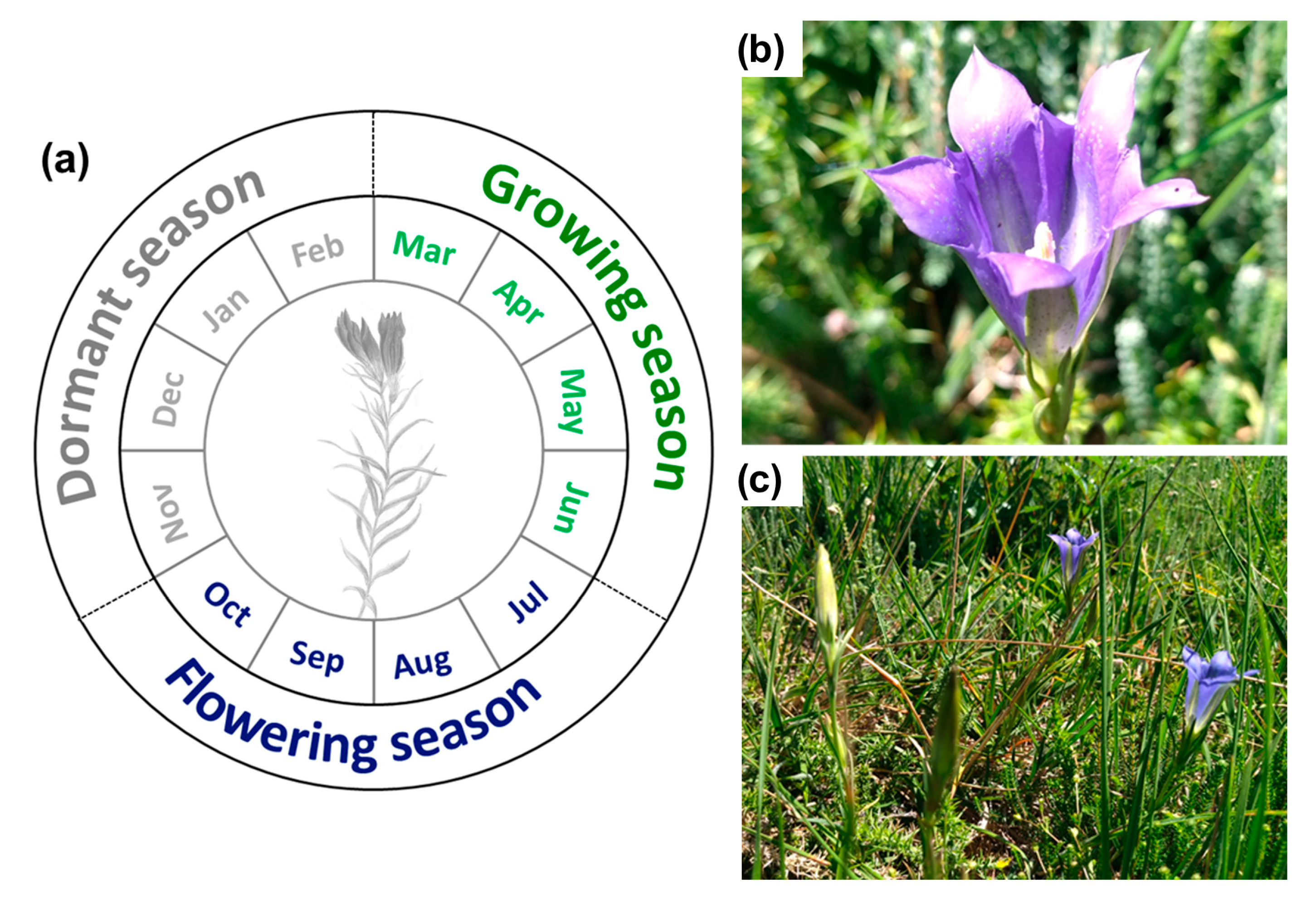 Plants 14 02857 g005 Plants 14 02857 g005