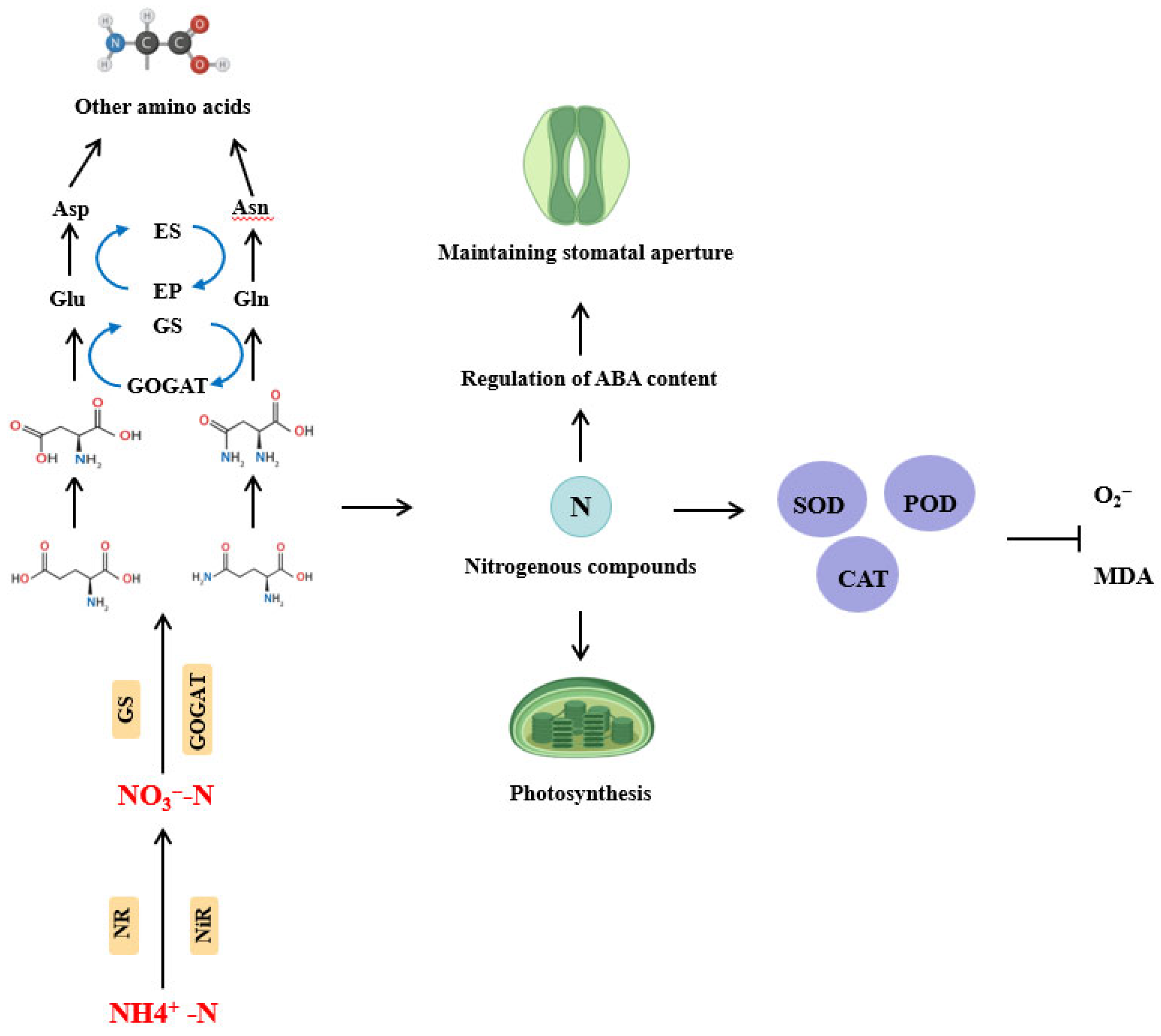 Plants 14 02863 g005 Plants 14 02863 g005