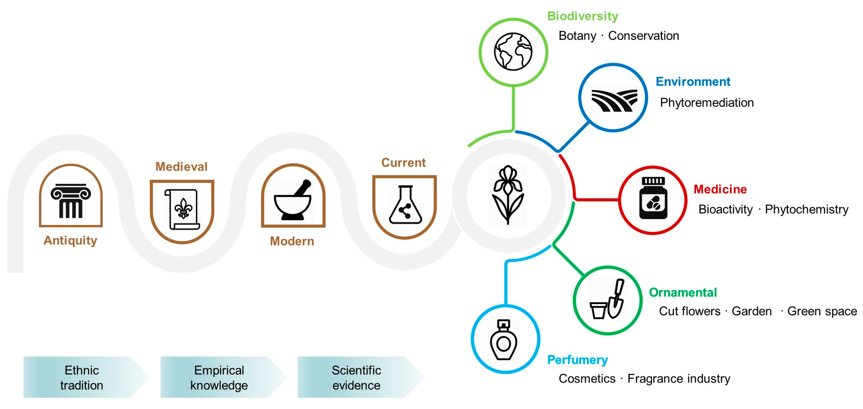 Plants 14 02870 g005