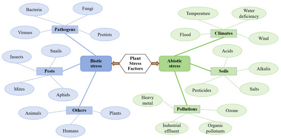 Plant Stress Detection via Molecular Communication: Modeling BVOC-Based  Inter-Plant Signaling for Agricultural Monitoring