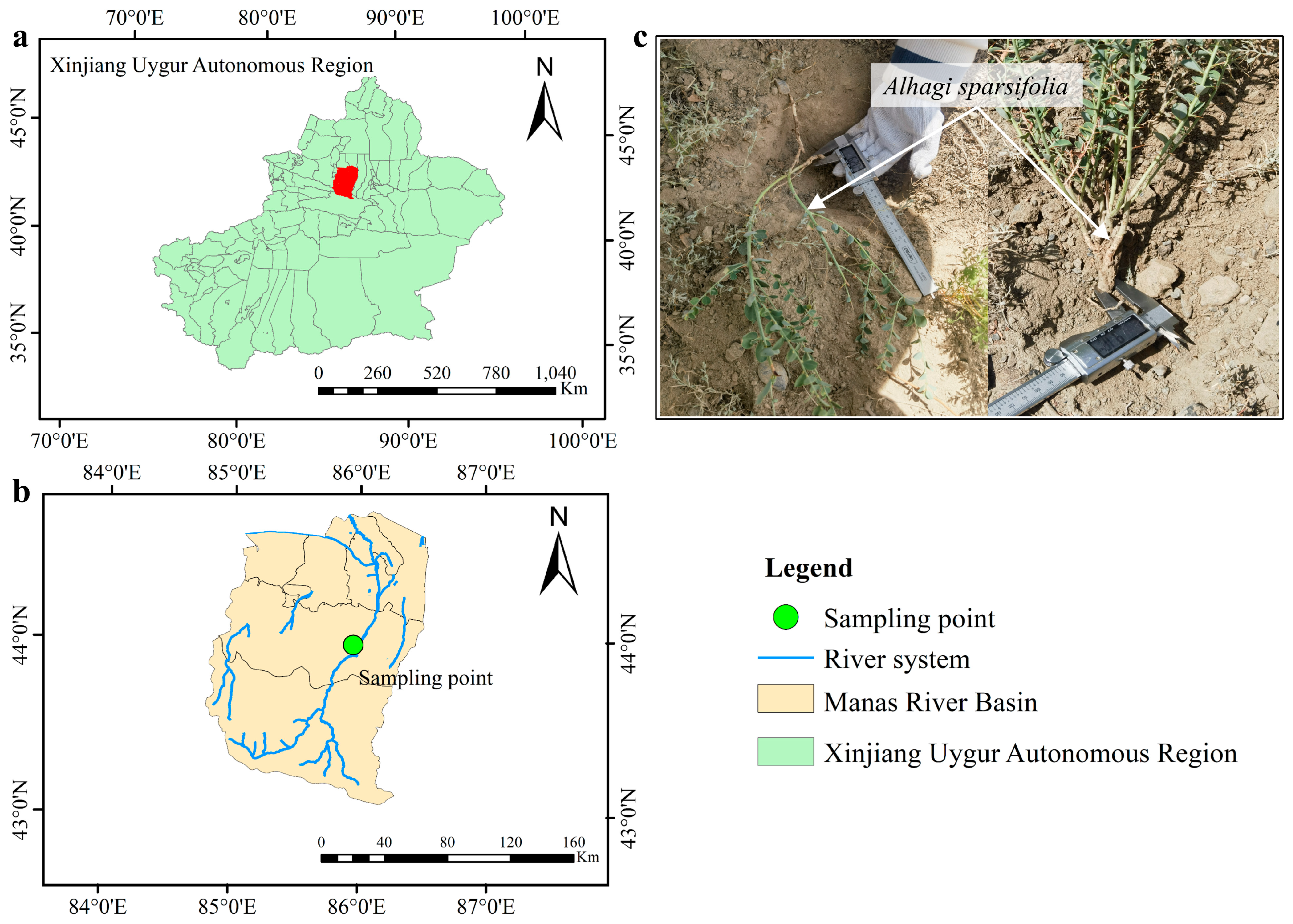 Plants 14 02876 g001 Plants 14 02876 g001