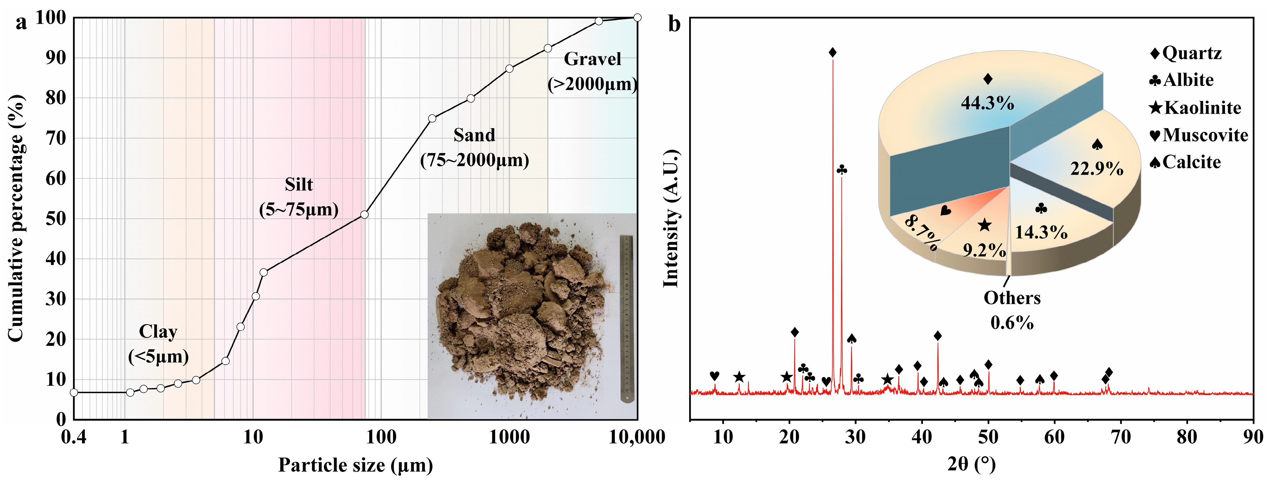 Plants 14 02876 g002 Plants 14 02876 g002
