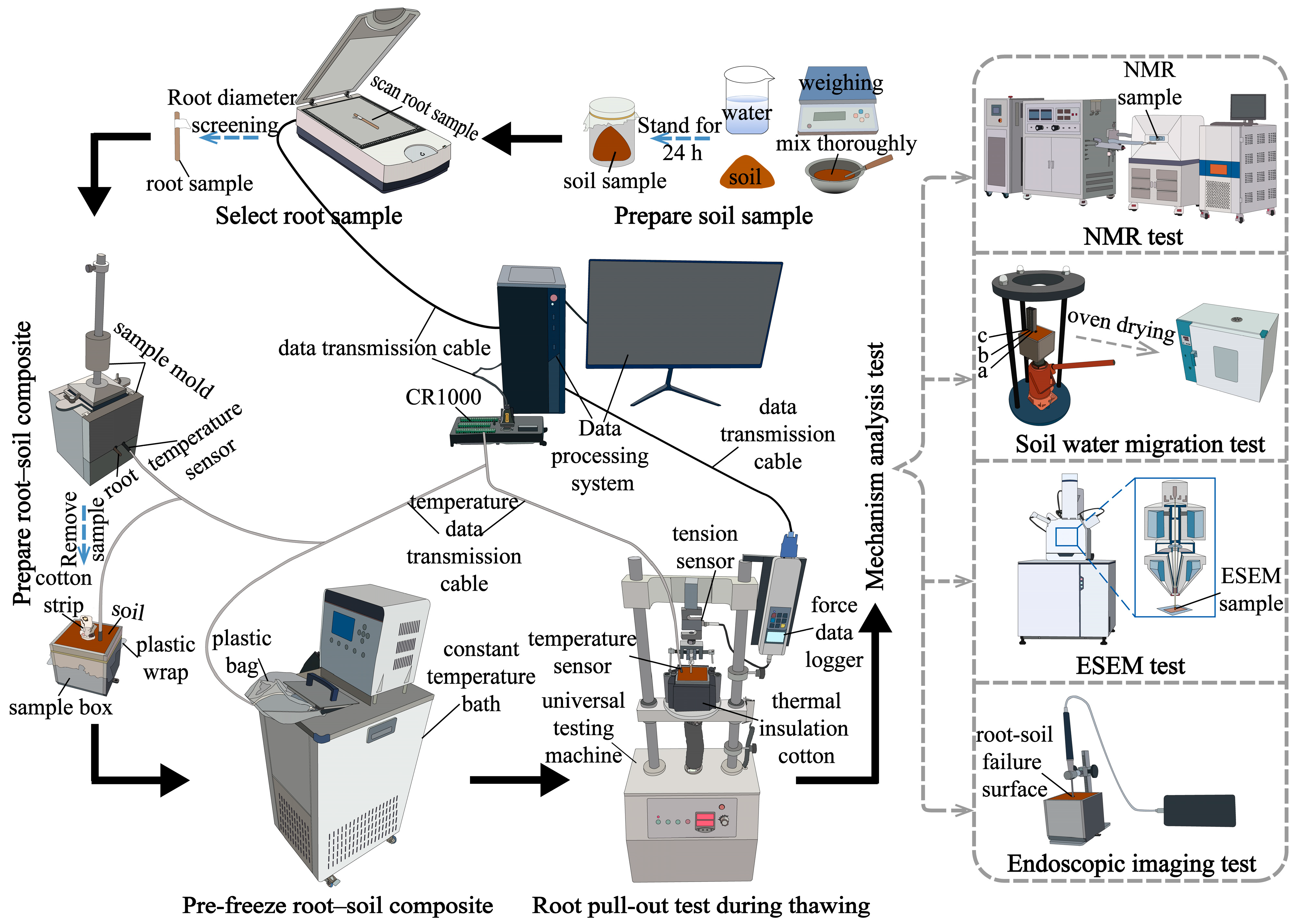 Plants 14 02876 g003 Plants 14 02876 g003