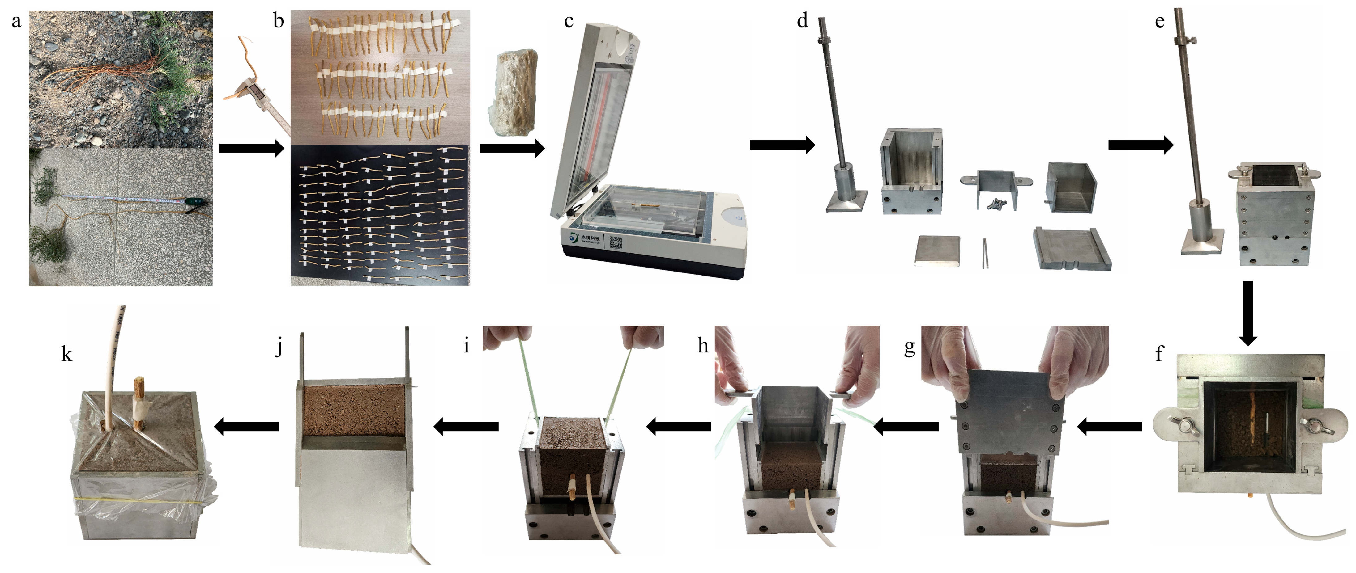 Plants 14 02876 g005 Plants 14 02876 g005