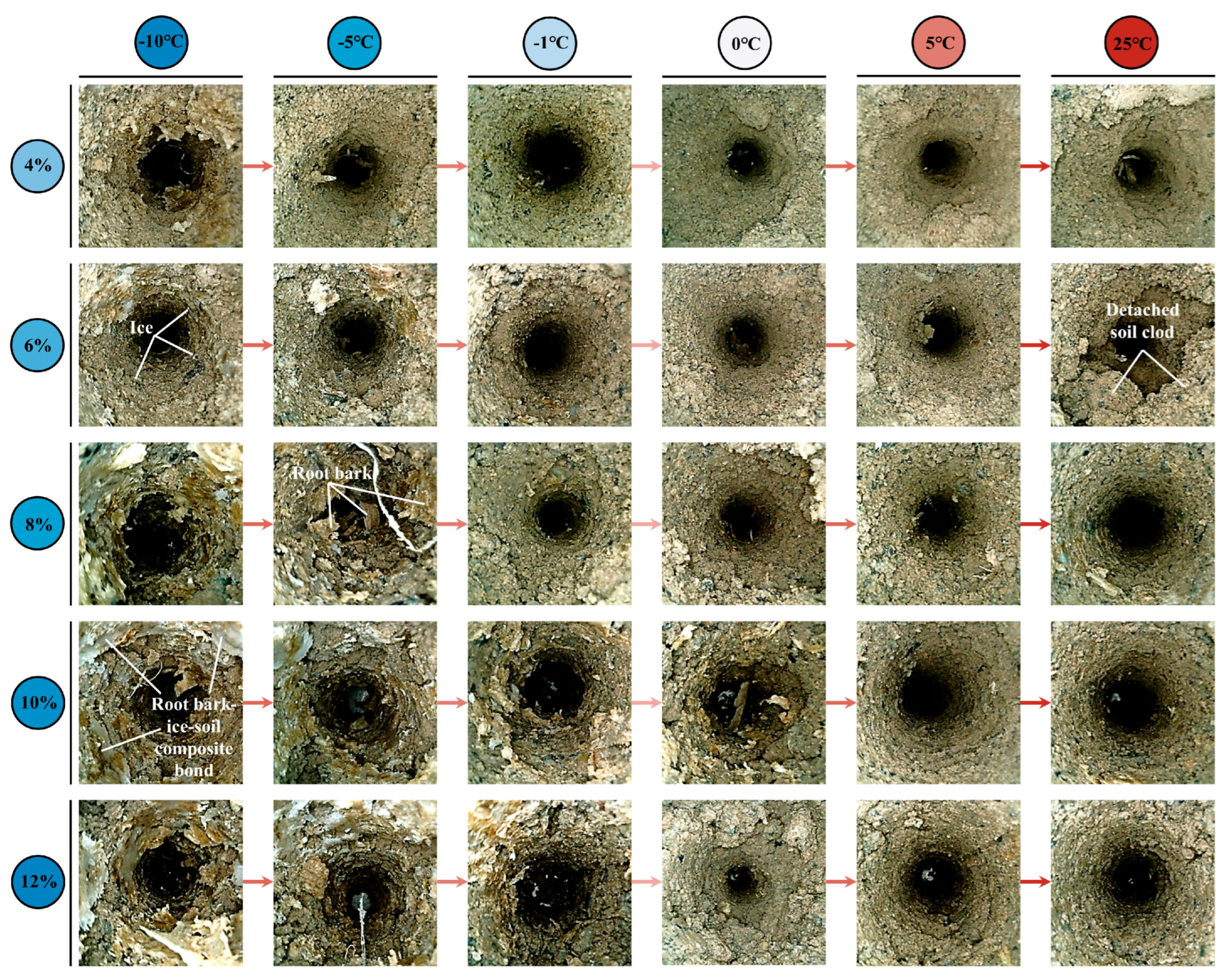 Plants 14 02876 g008 Plants 14 02876 g008