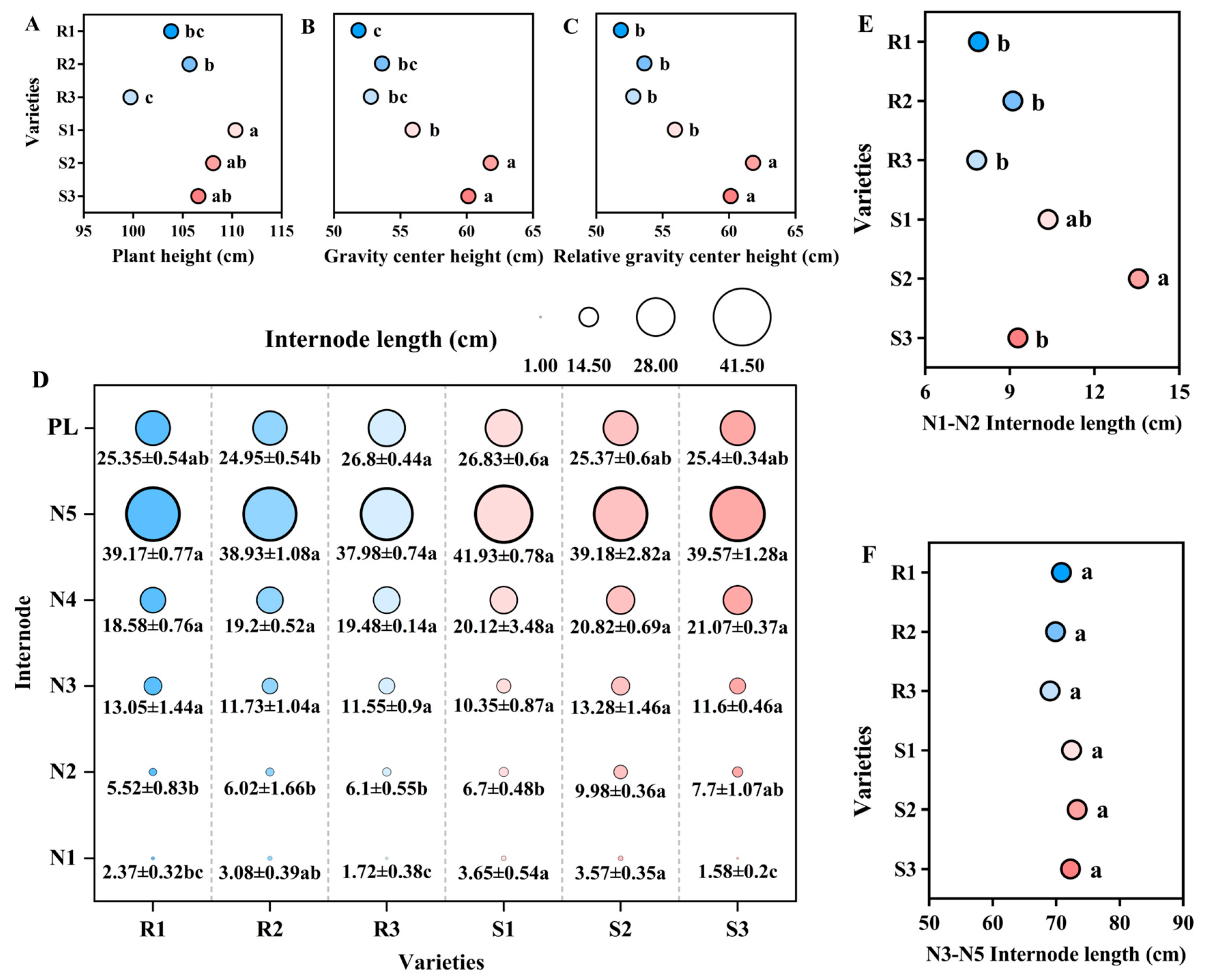 Plants 14 02878 g001