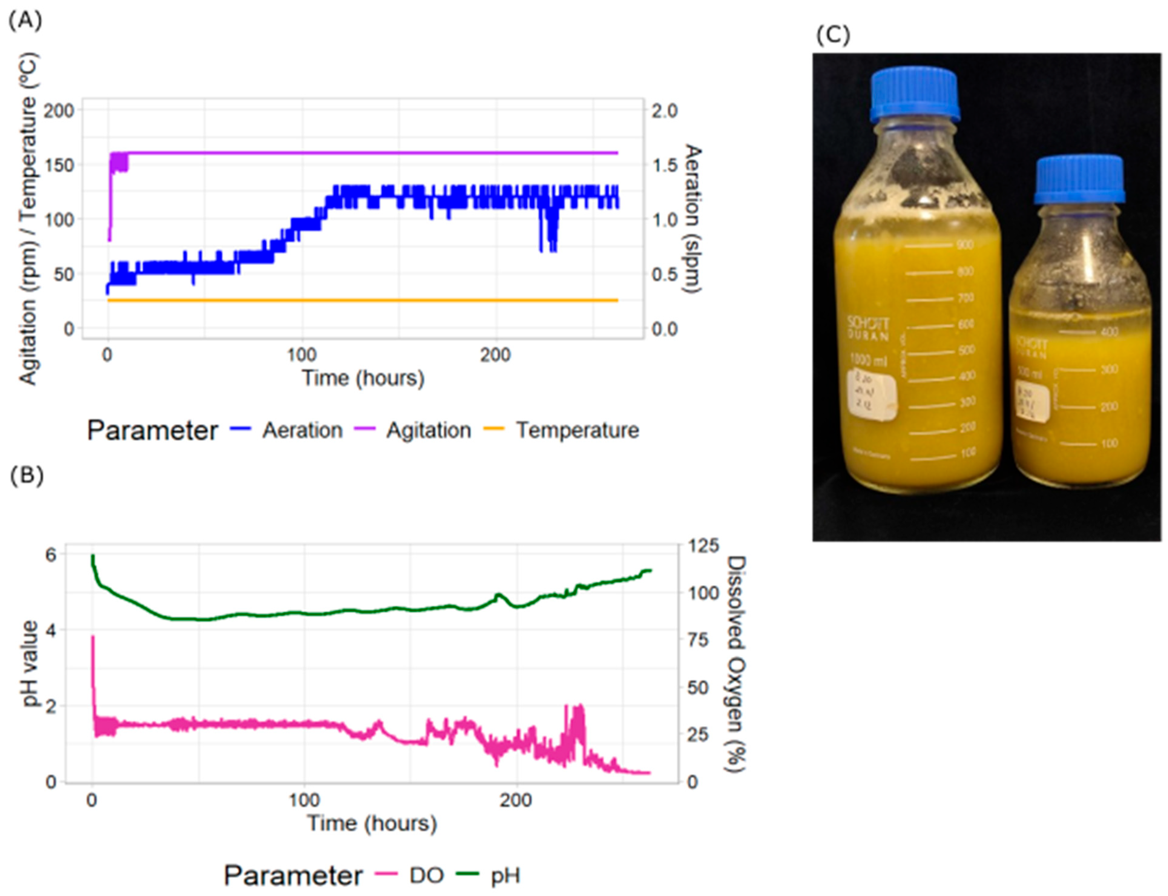 Plants 14 02879 g002