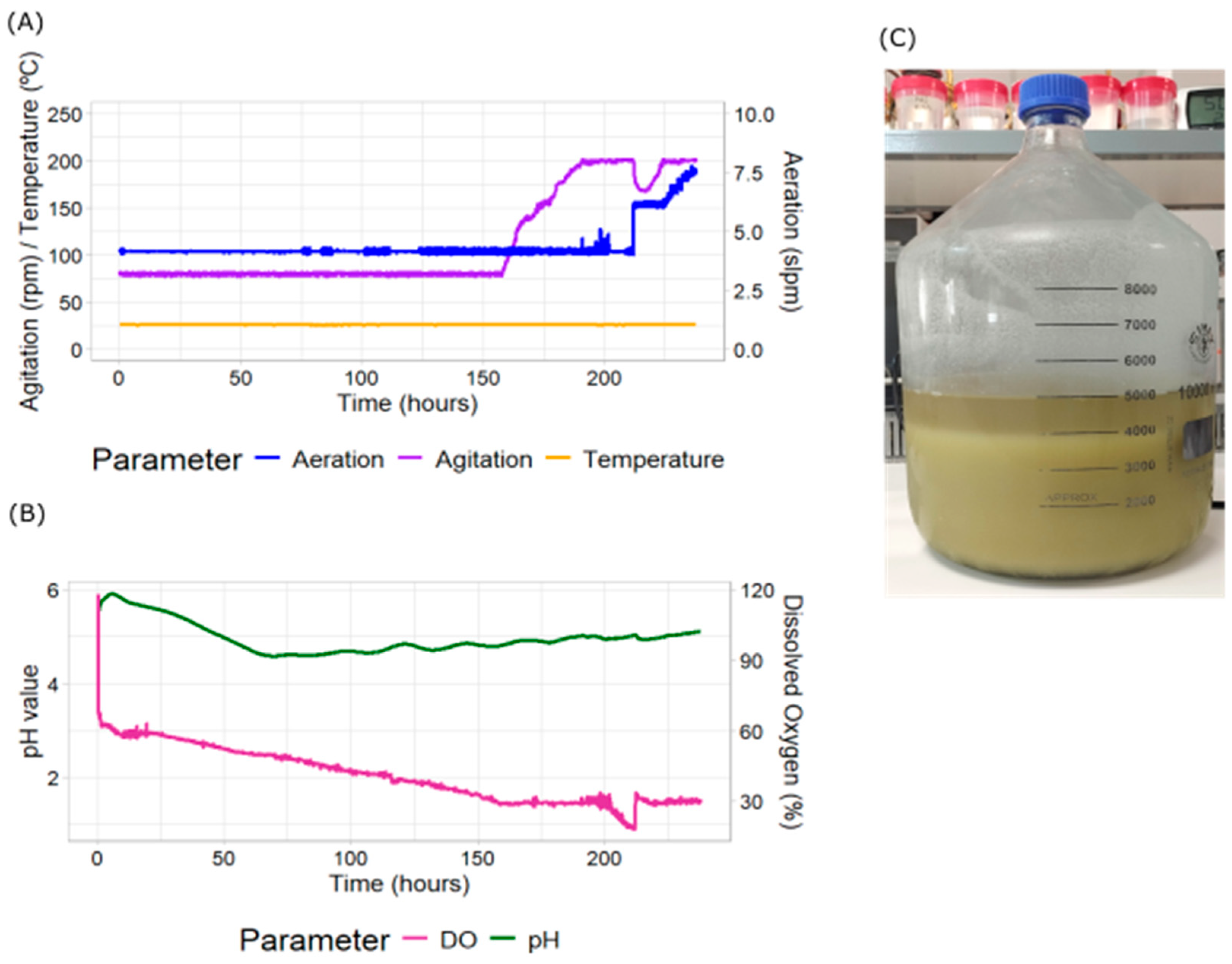 Plants 14 02879 g003