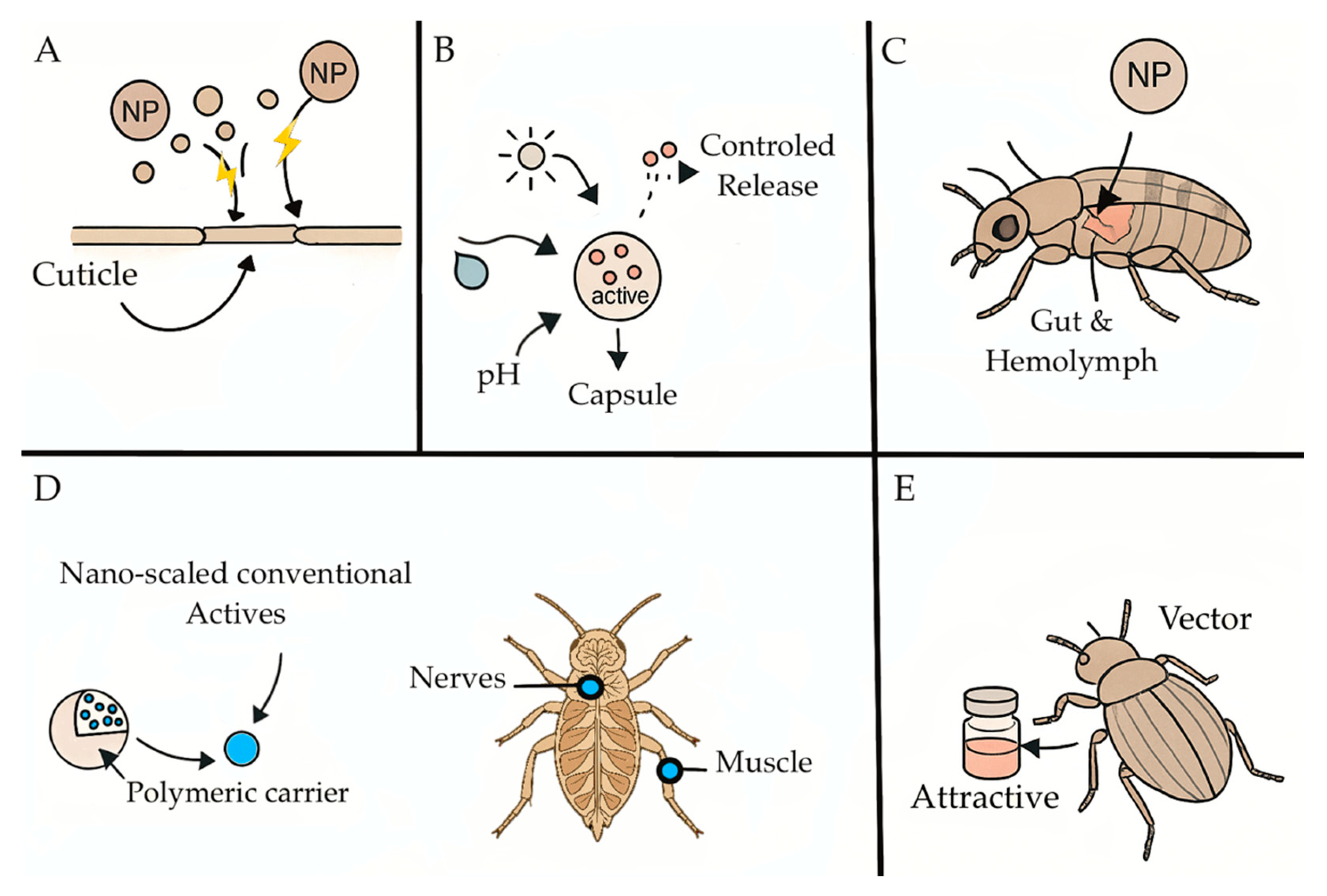 Plants 14 02880 g001