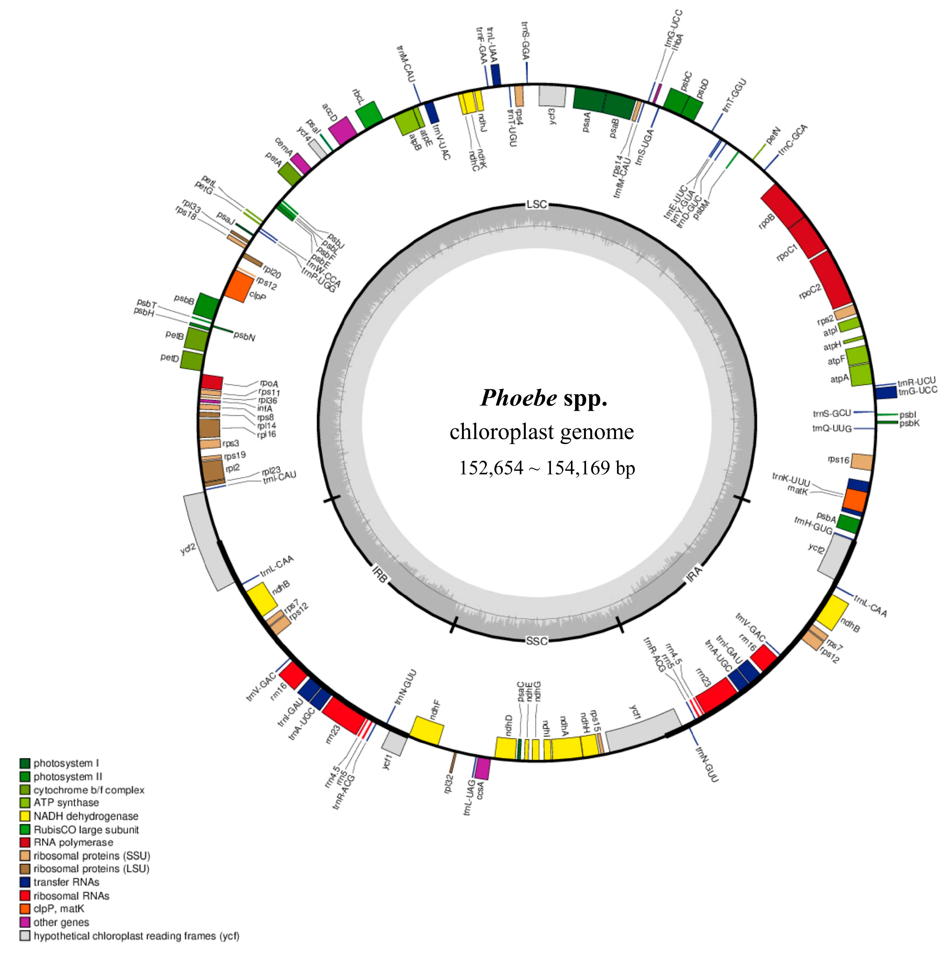 Plants 14 02895 g001 Plants 14 02895 g001