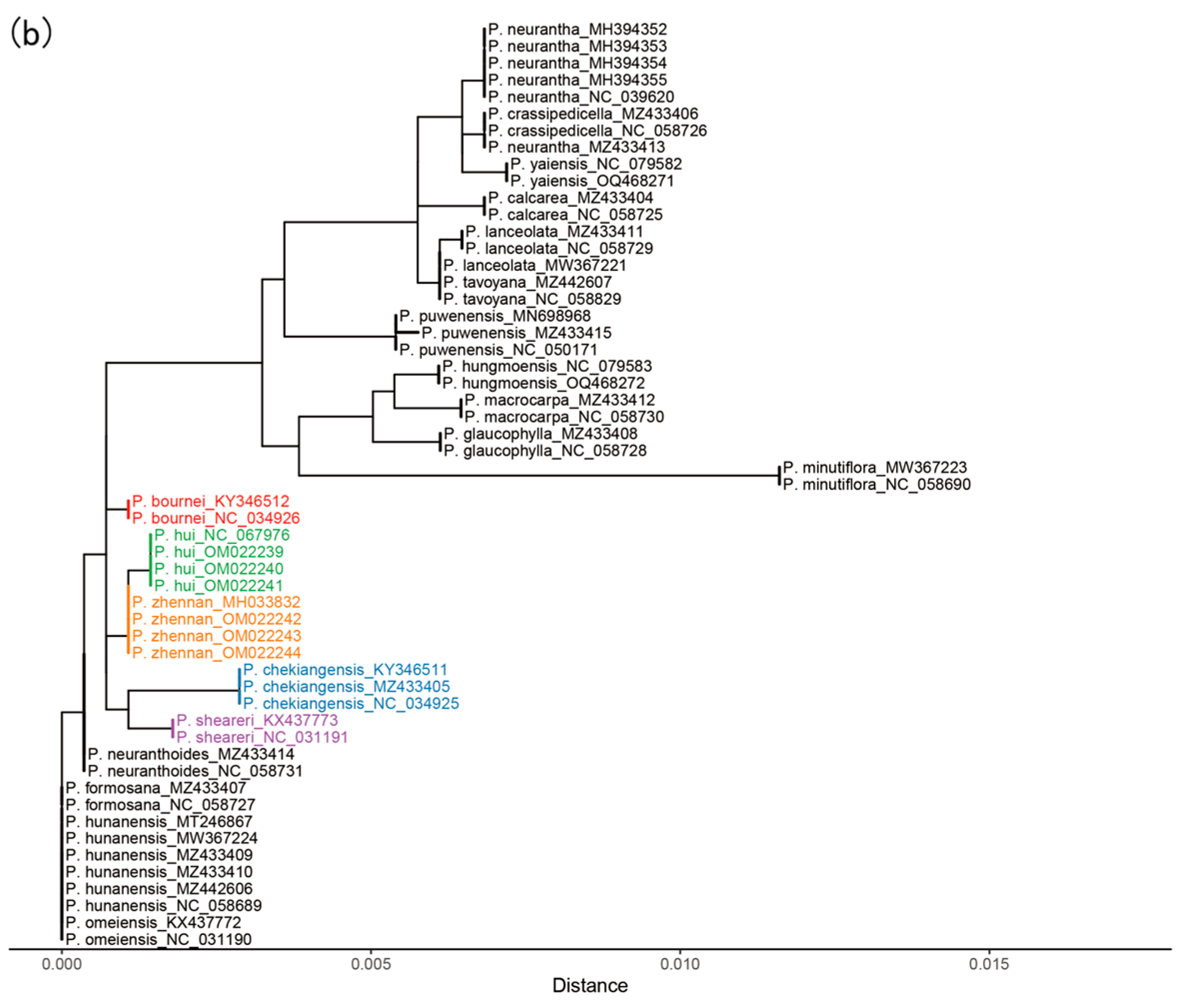 Plants 14 02895 g004b Plants 14 02895 g004b