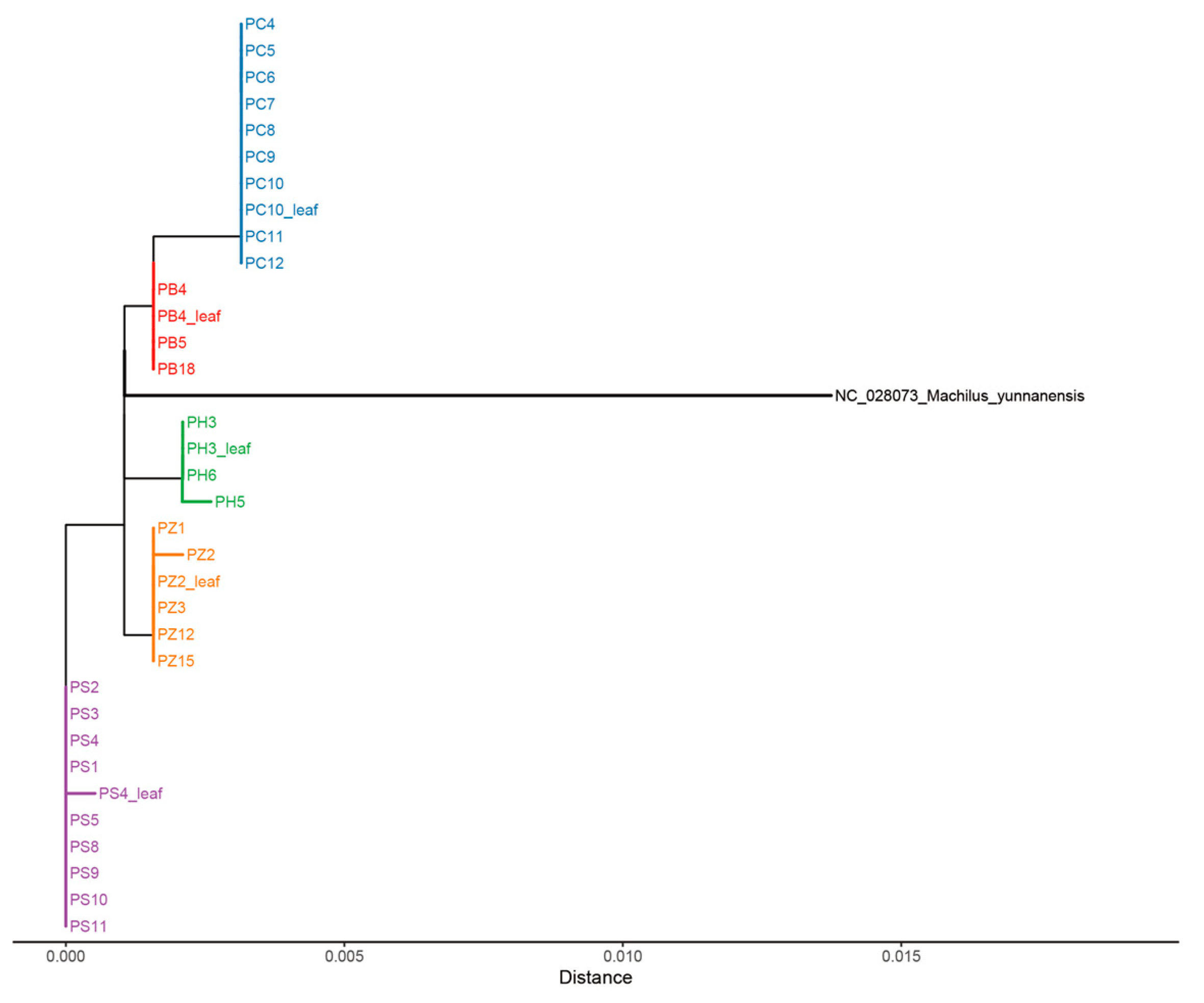 Plants 14 02895 g005 Plants 14 02895 g005