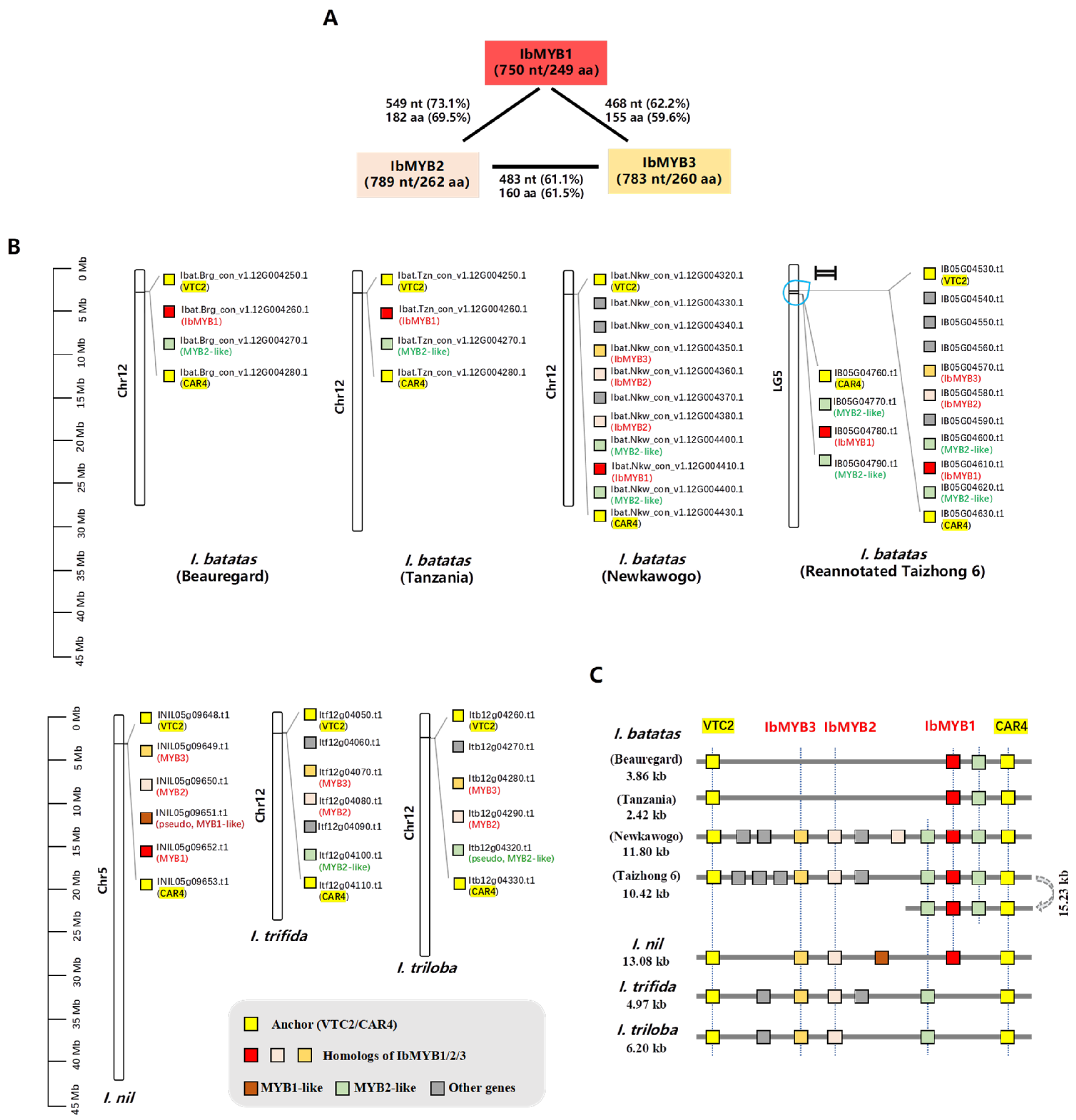 Plants 14 02896 g001