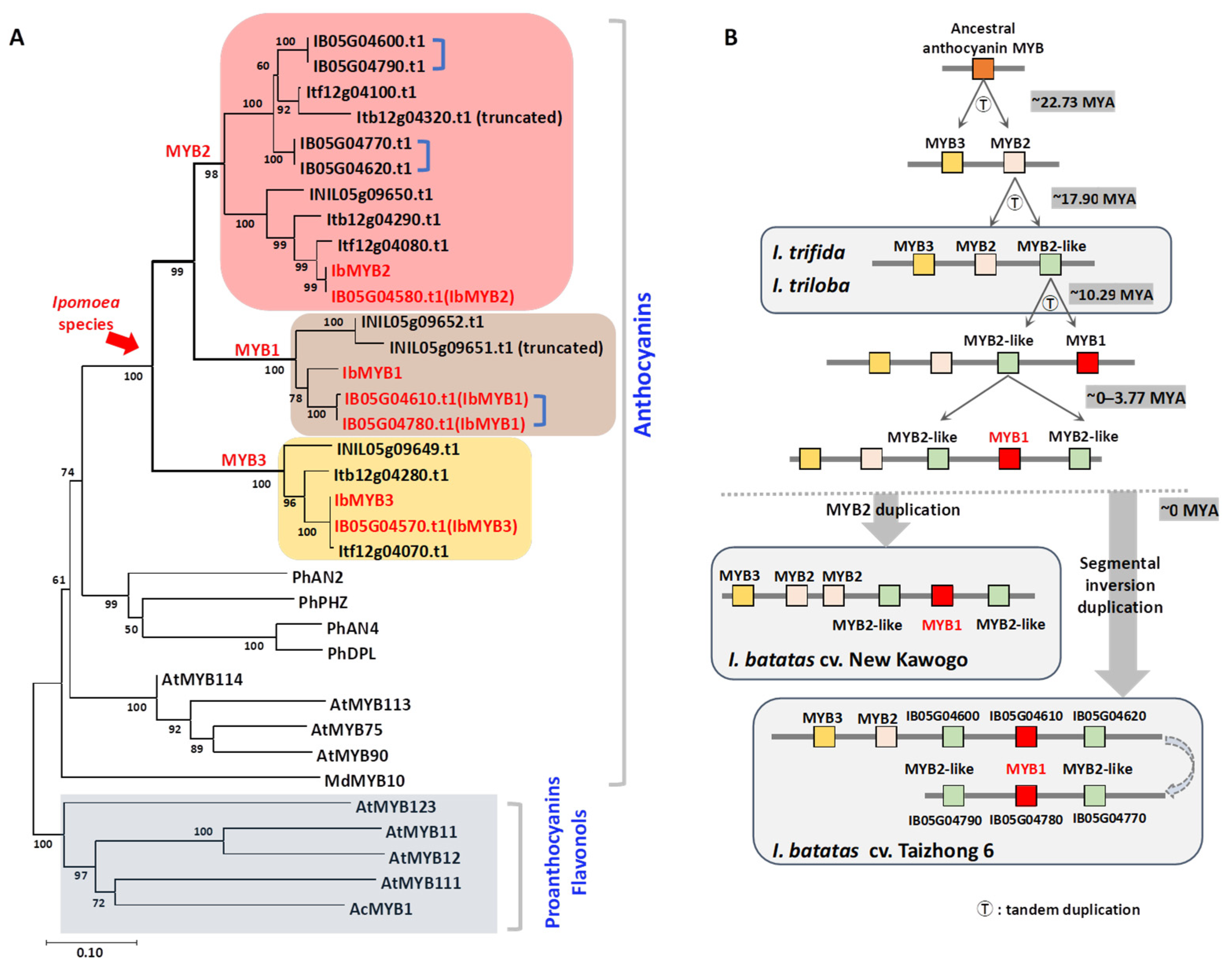 Plants 14 02896 g002