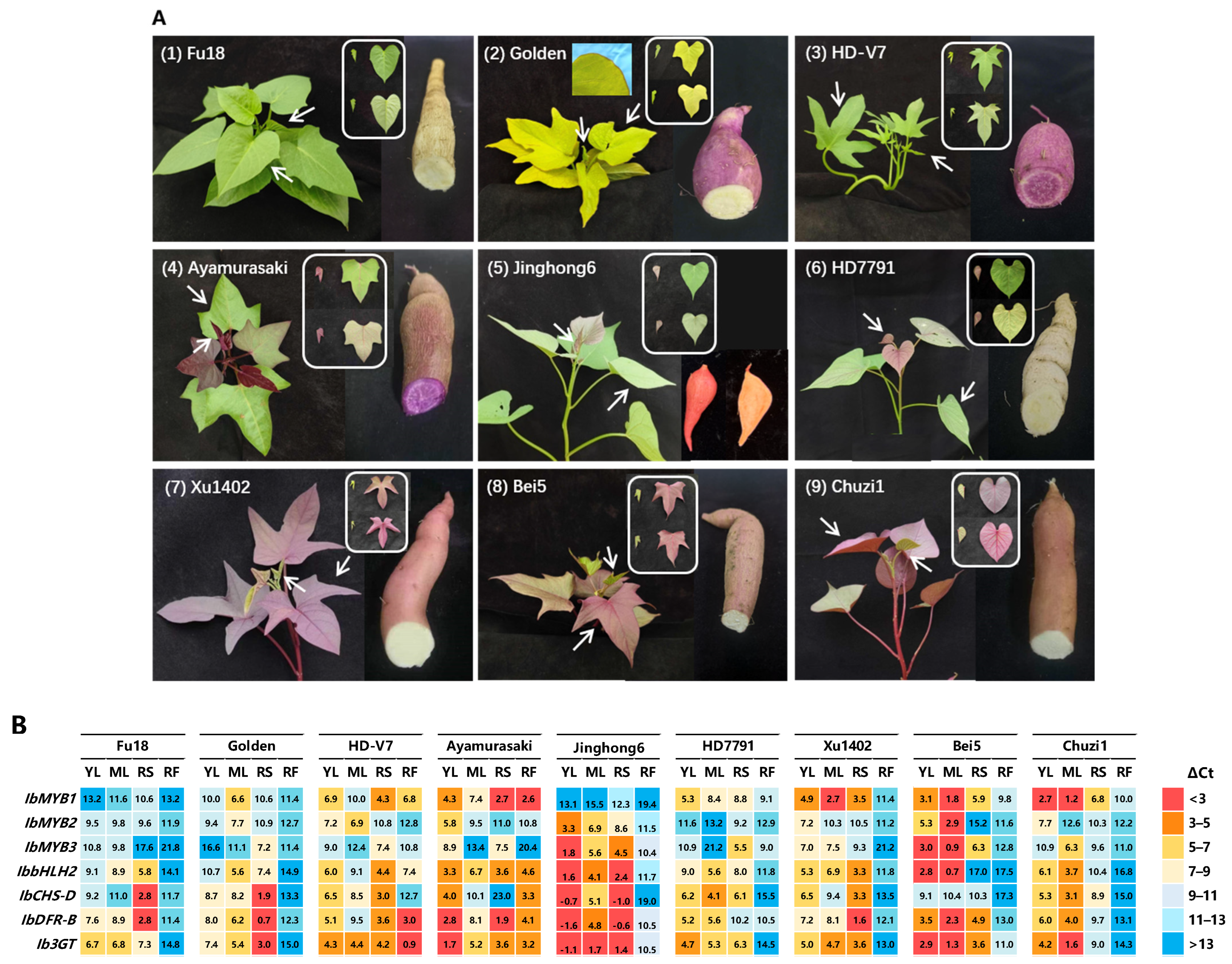 Plants 14 02896 g004