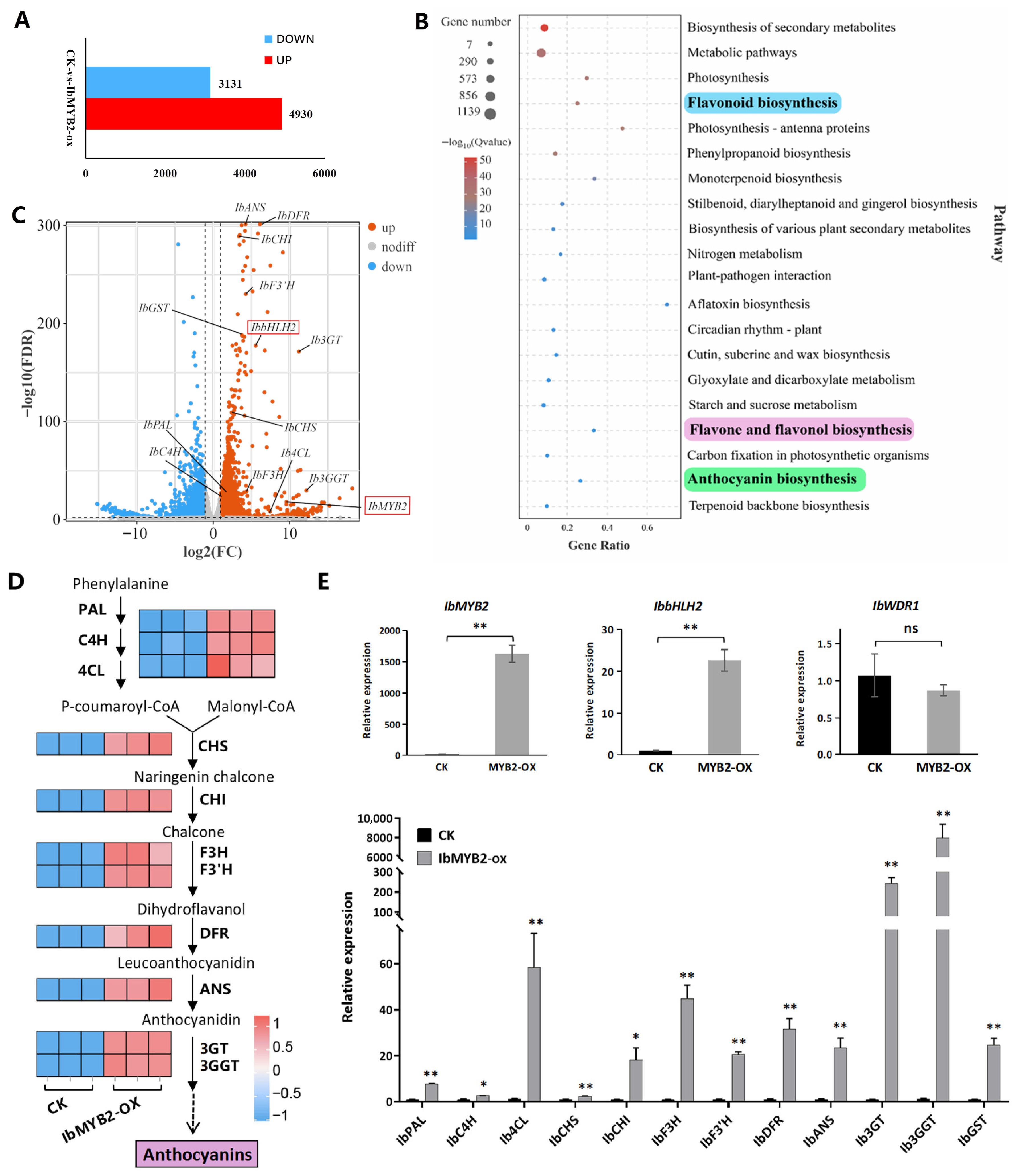 Plants 14 02896 g006