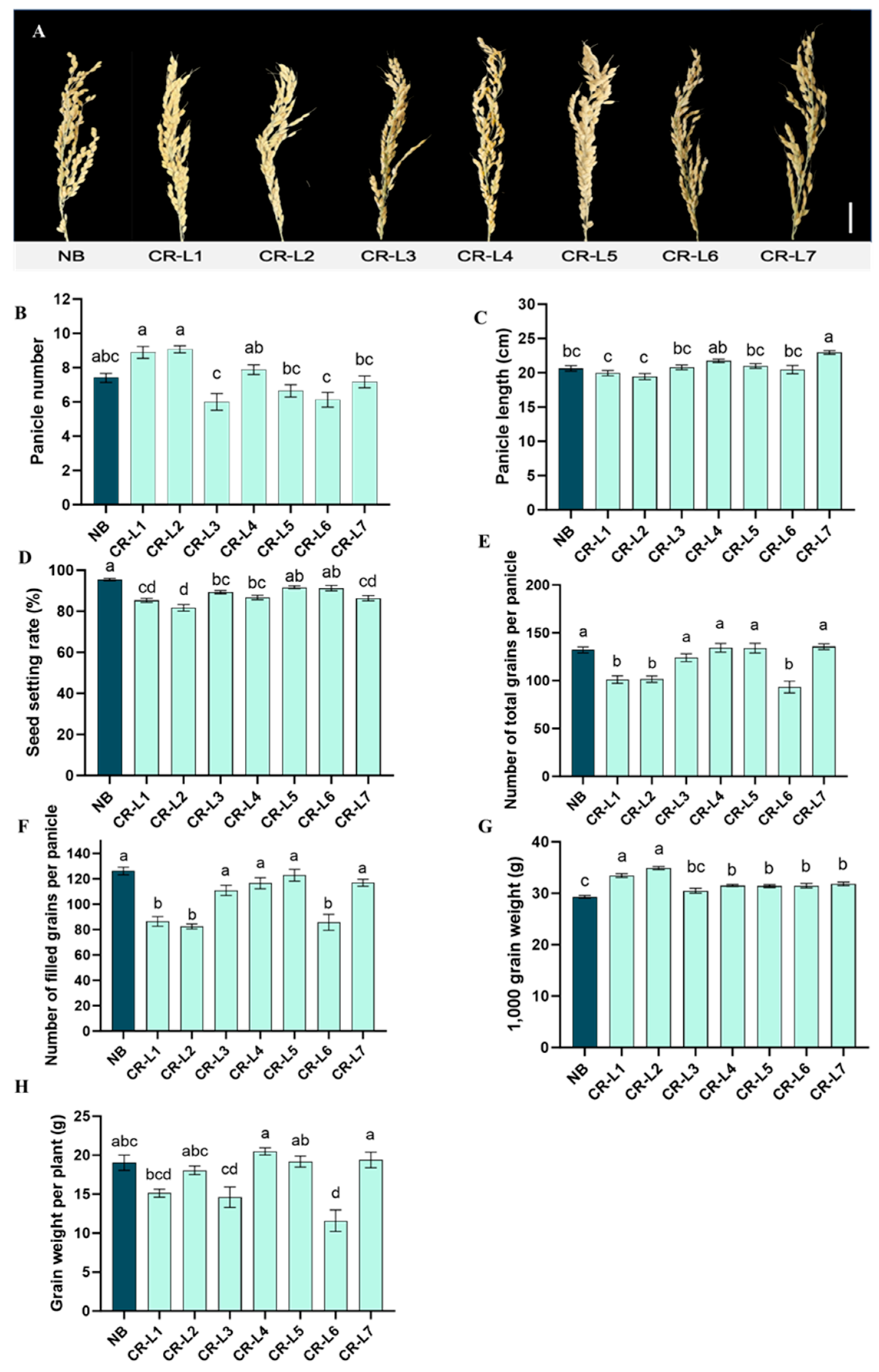 Plants 14 02897 g003