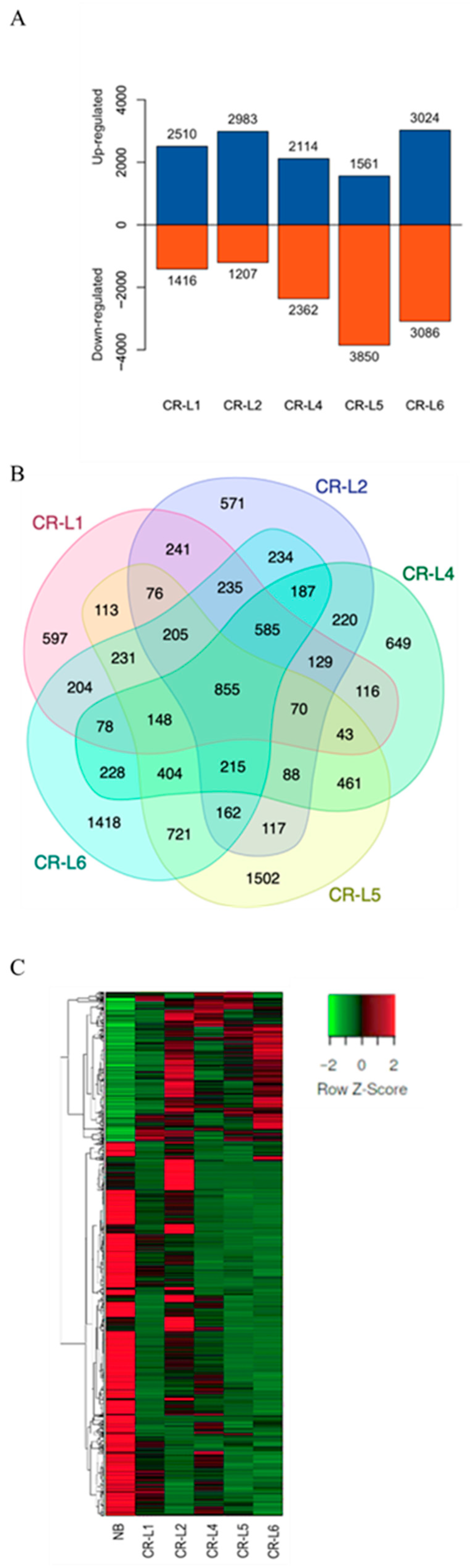 Plants 14 02897 g004