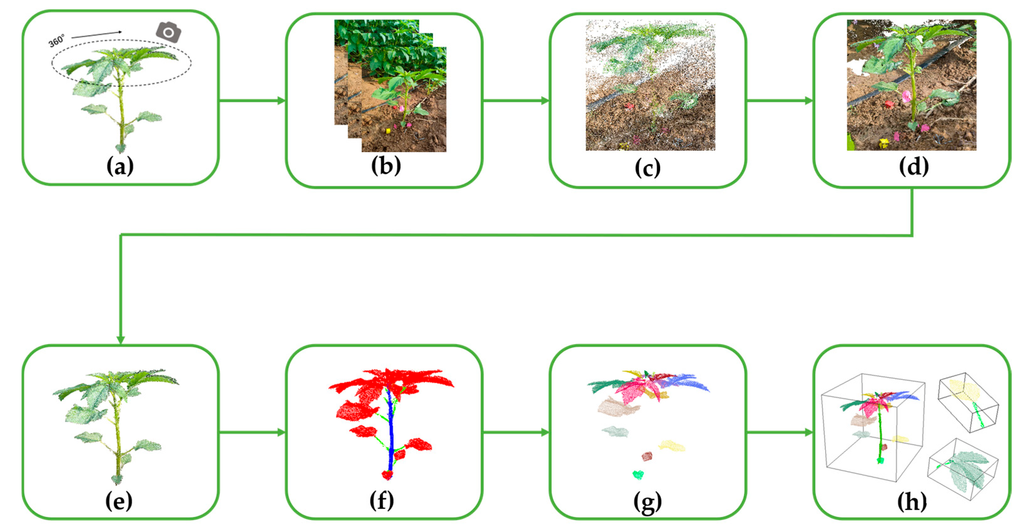 Plants 14 02898 g002