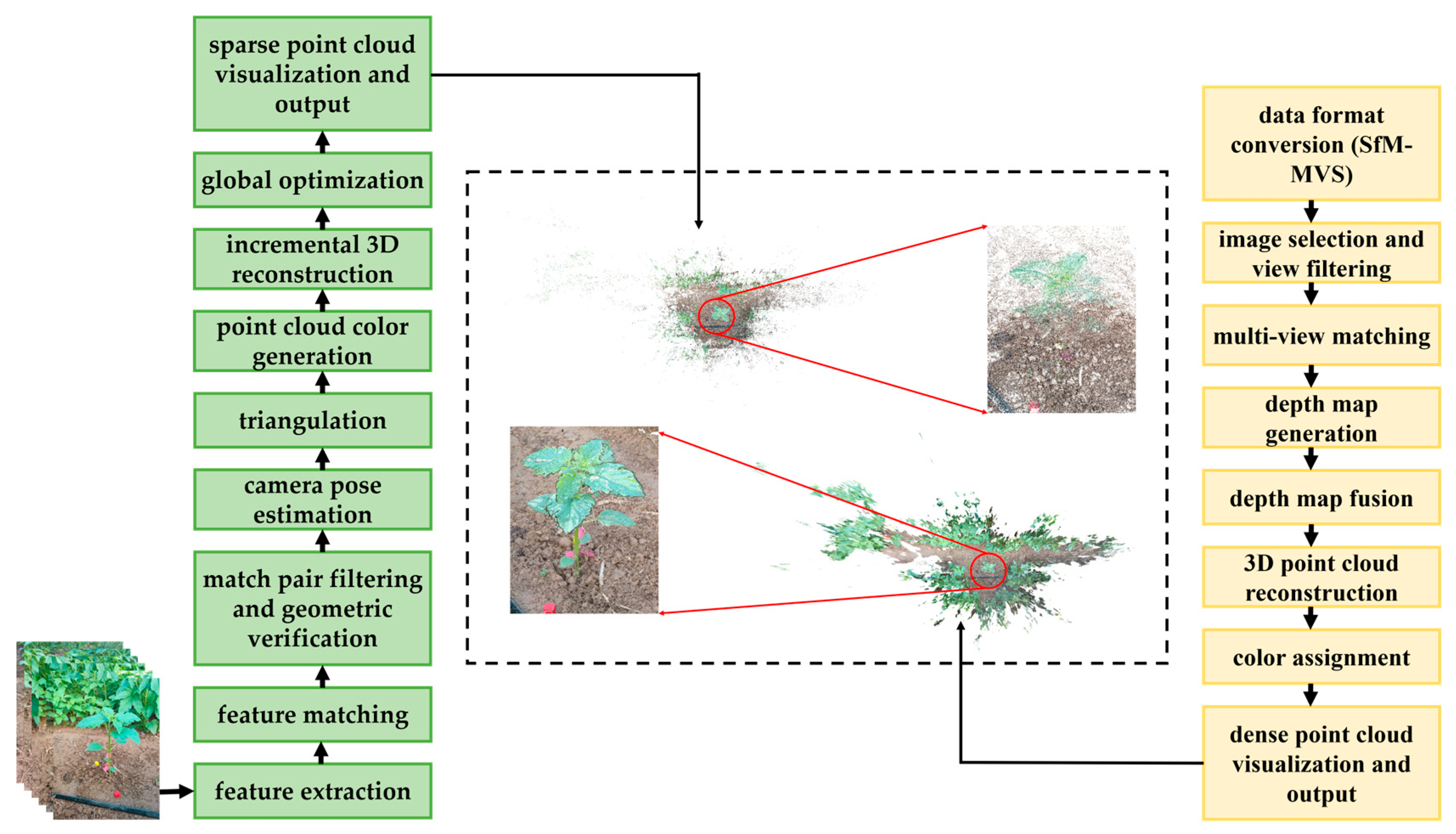 Plants 14 02898 g003