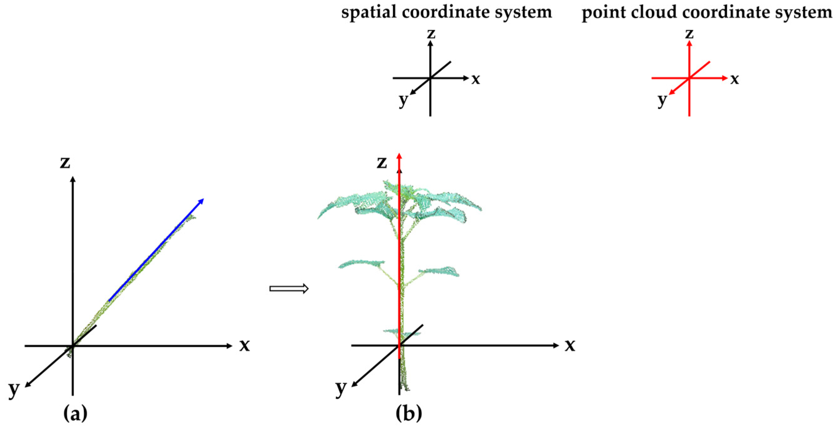 Plants 14 02898 g007