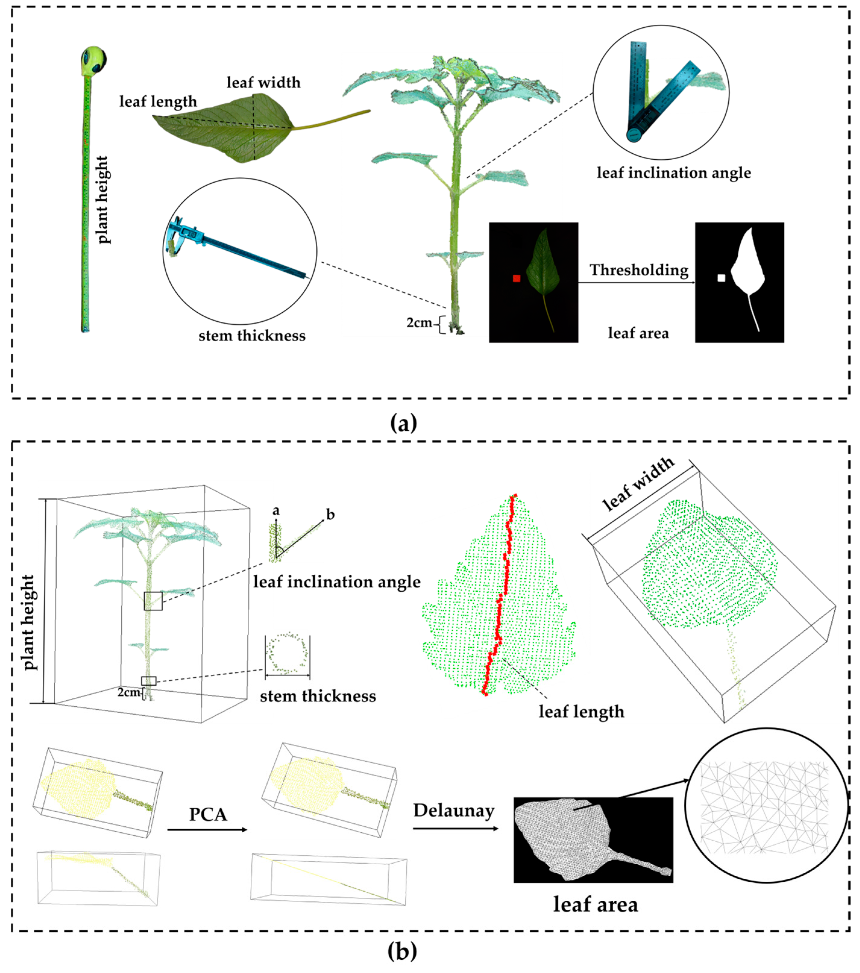 Plants 14 02898 g008