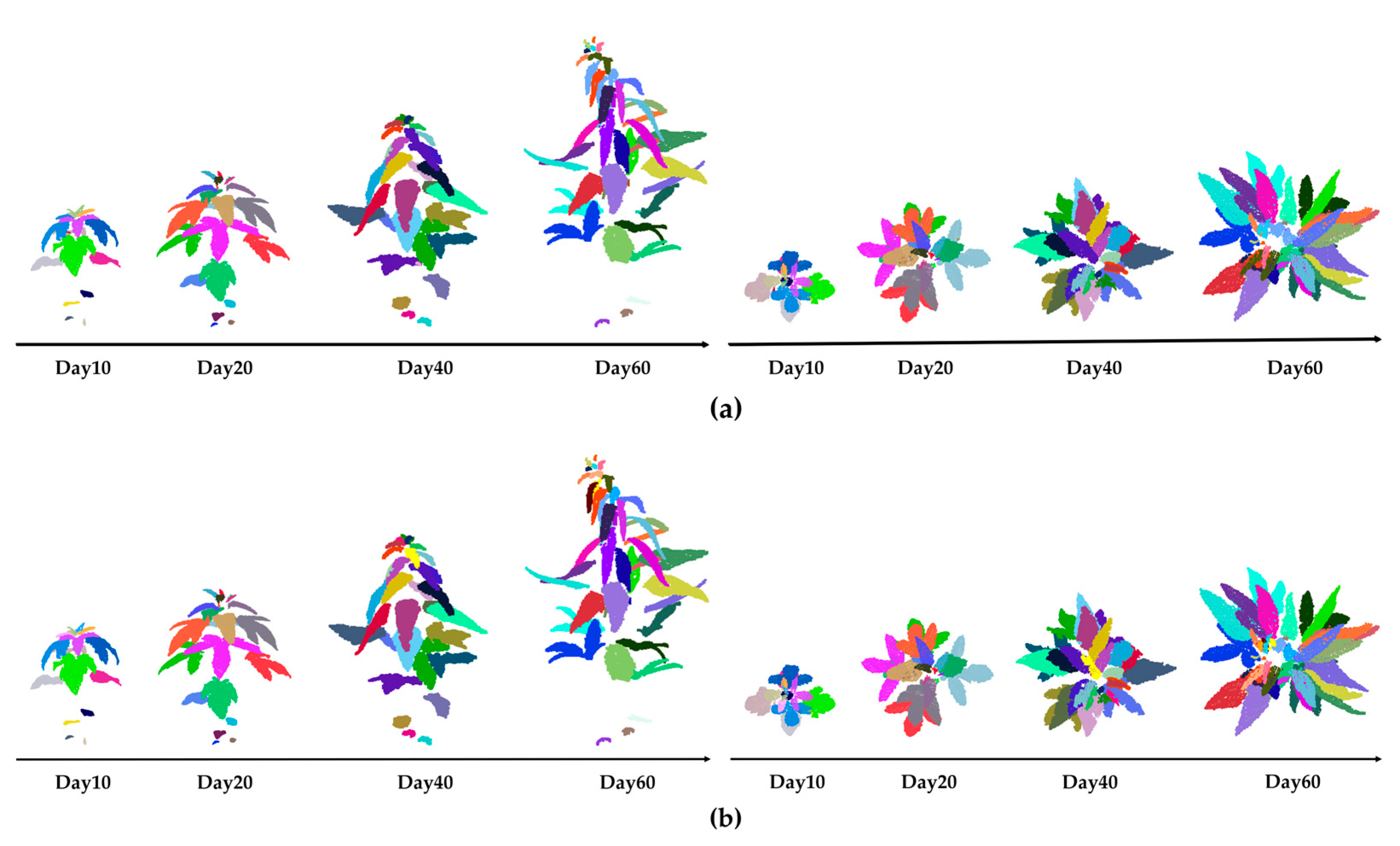 Plants 14 02898 g011