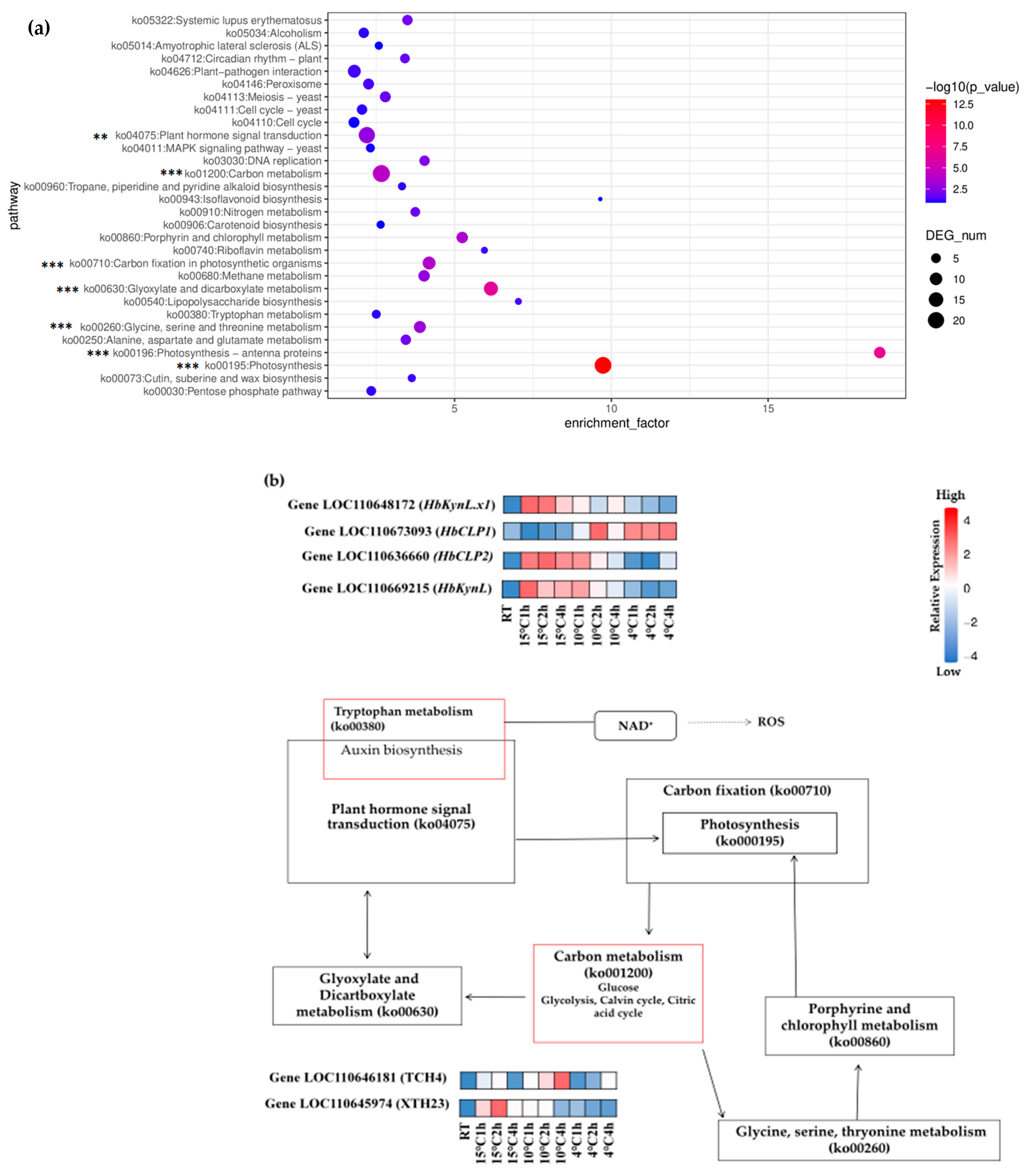 Plants 14 02900 g003a