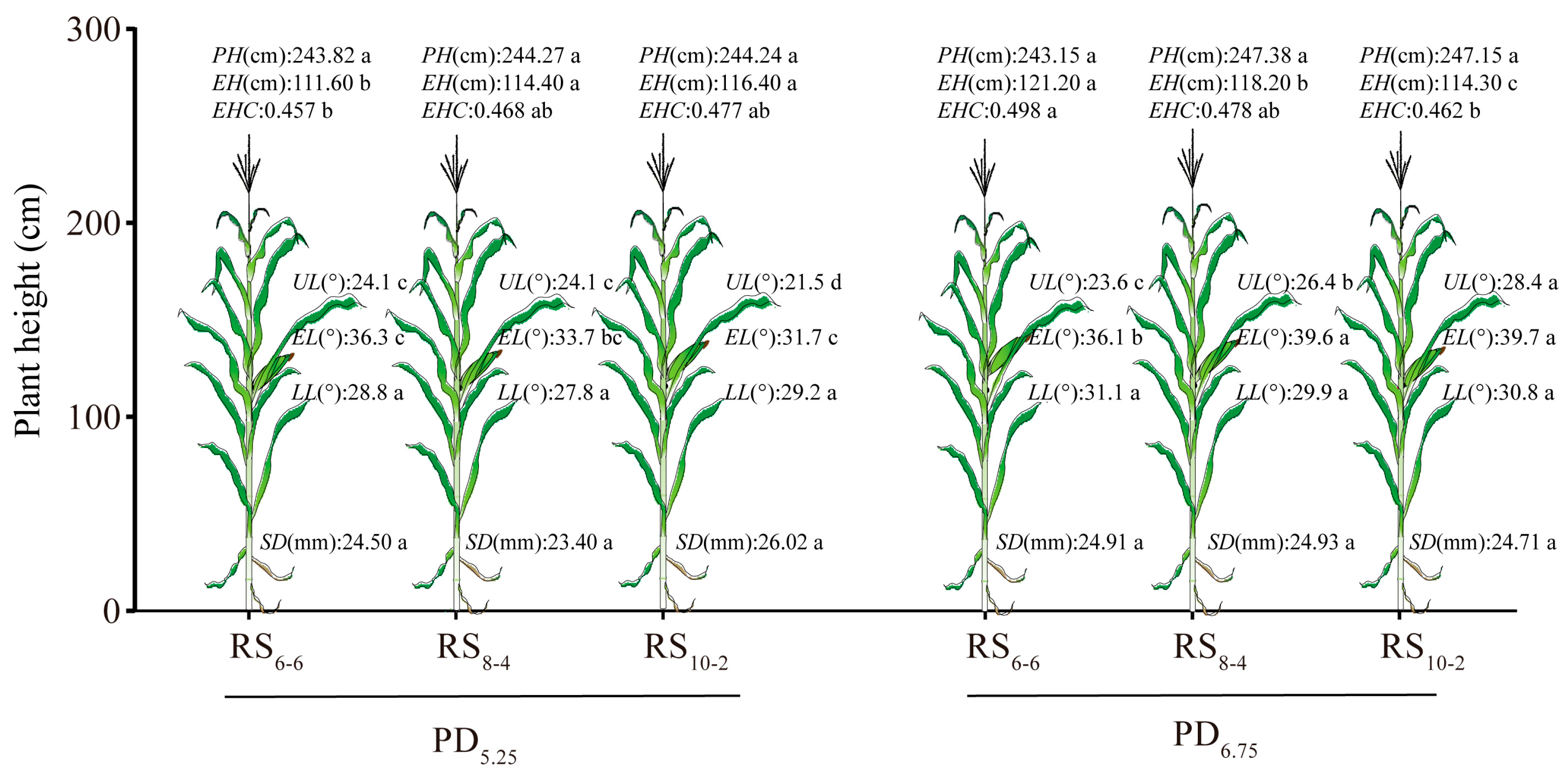Plants 14 02902 g003 Plants 14 02902 g003