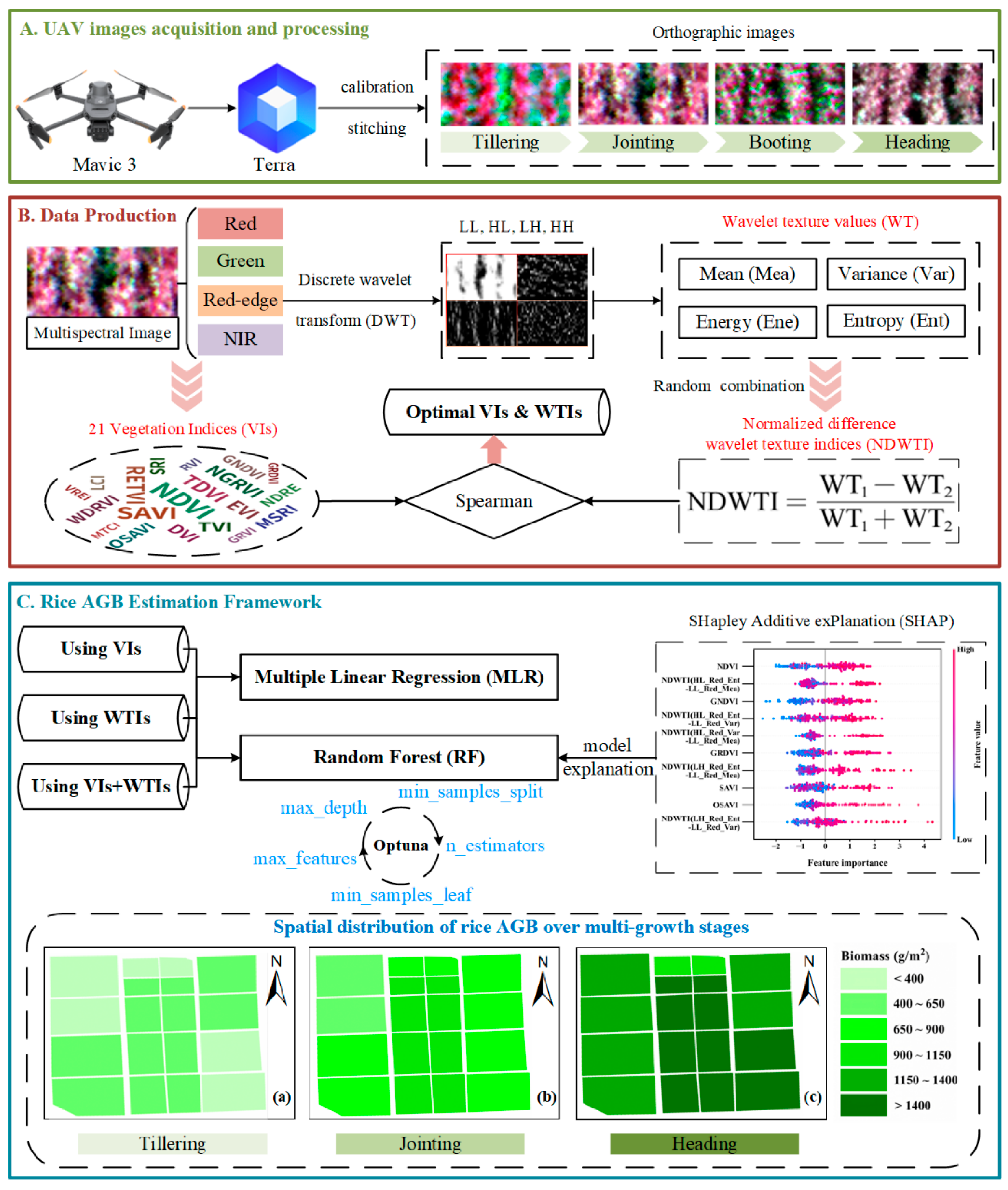 Plants 14 02903 g003 Plants 14 02903 g003