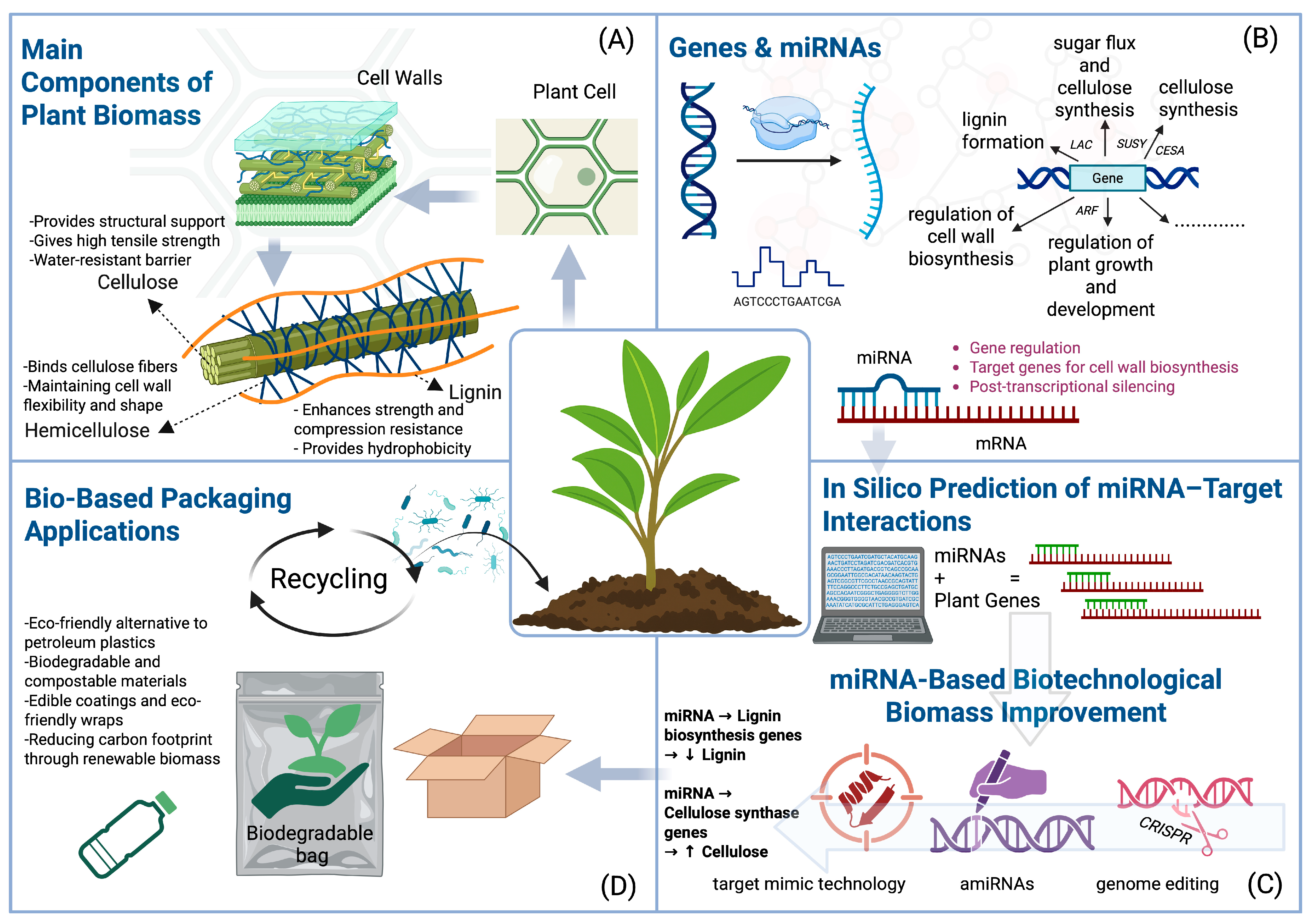 Plants 14 02905 g003