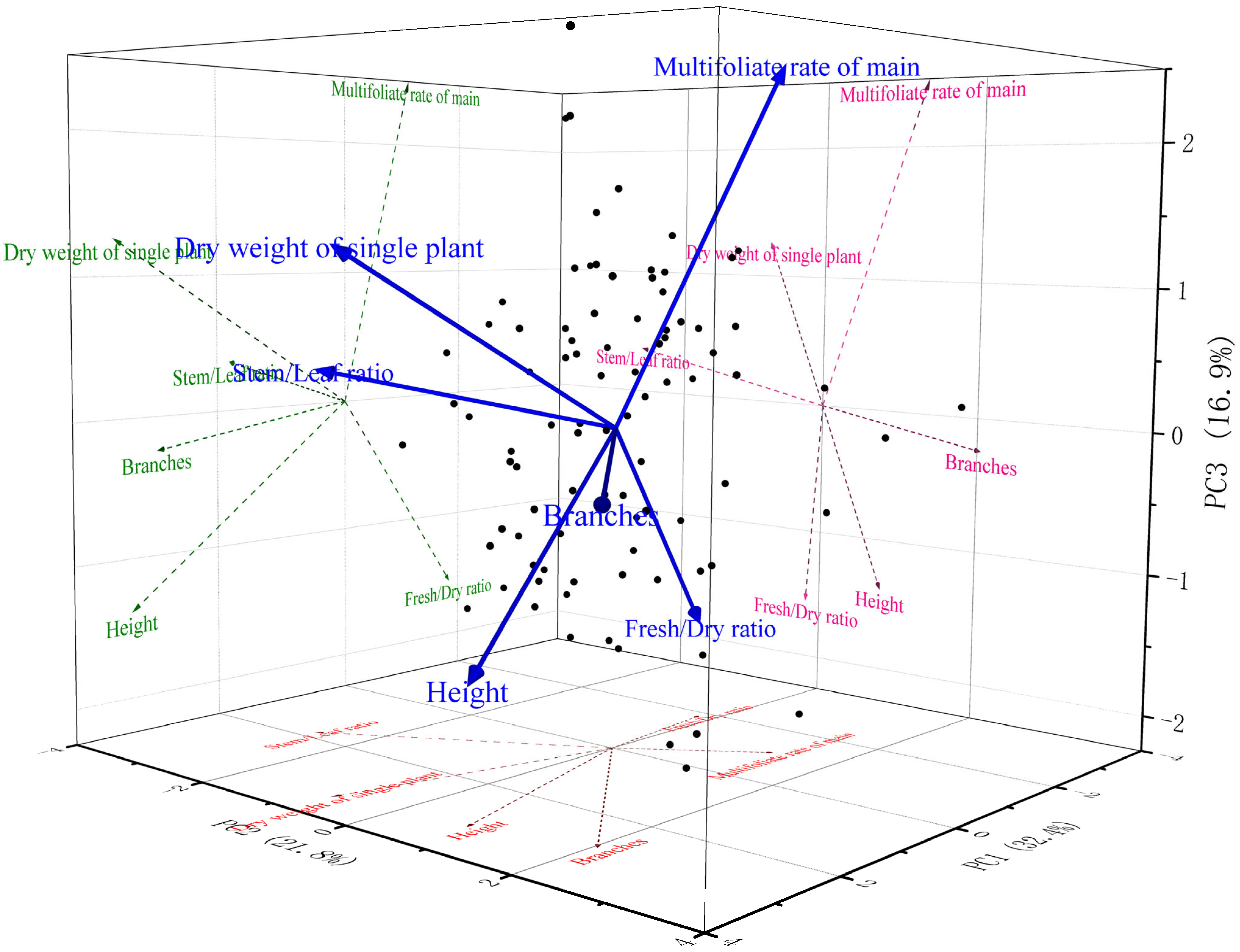 Plants 14 02906 g002 Plants 14 02906 g002