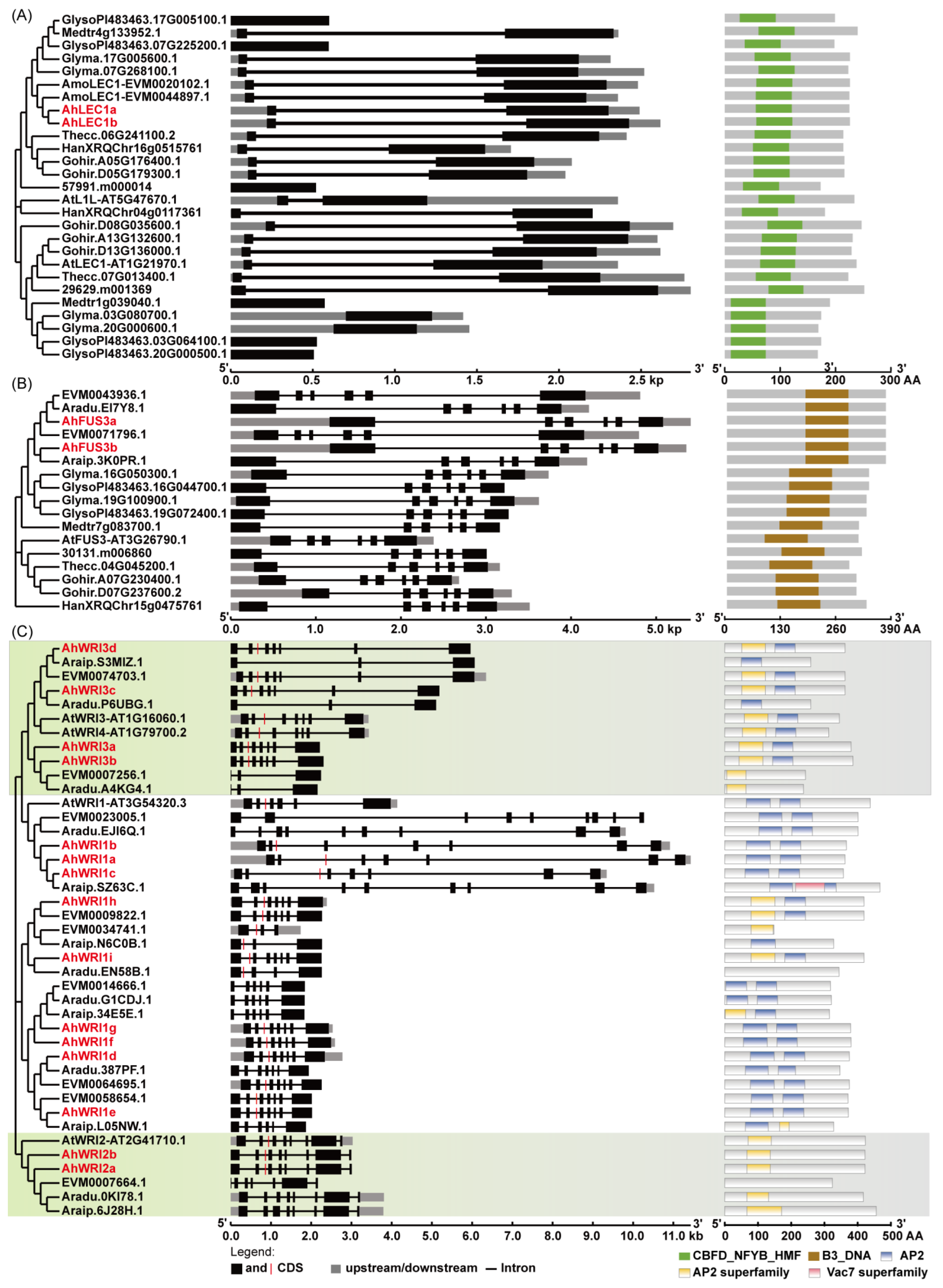 Plants 14 02910 g001 Plants 14 02910 g001