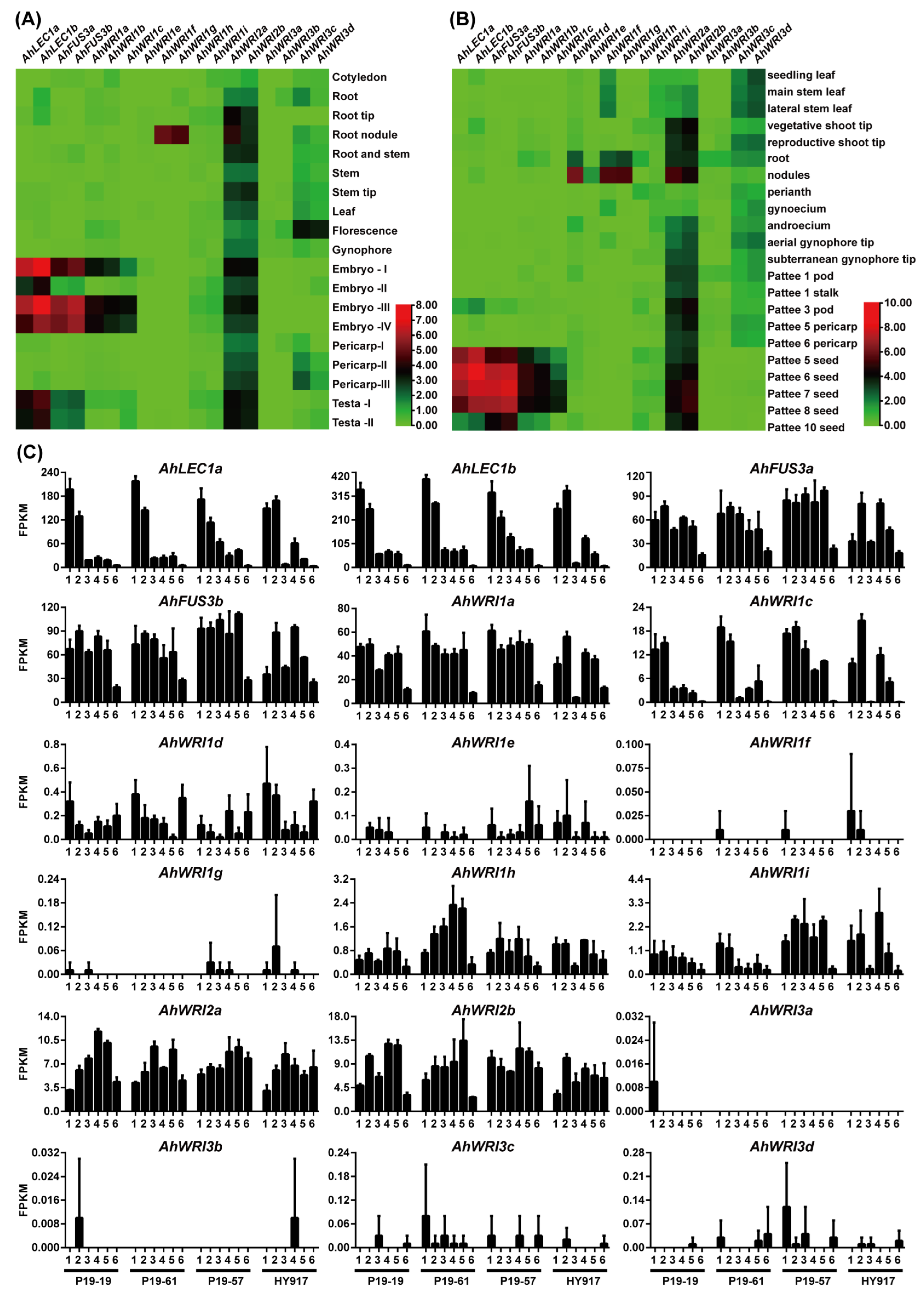 Plants 14 02910 g005 Plants 14 02910 g005