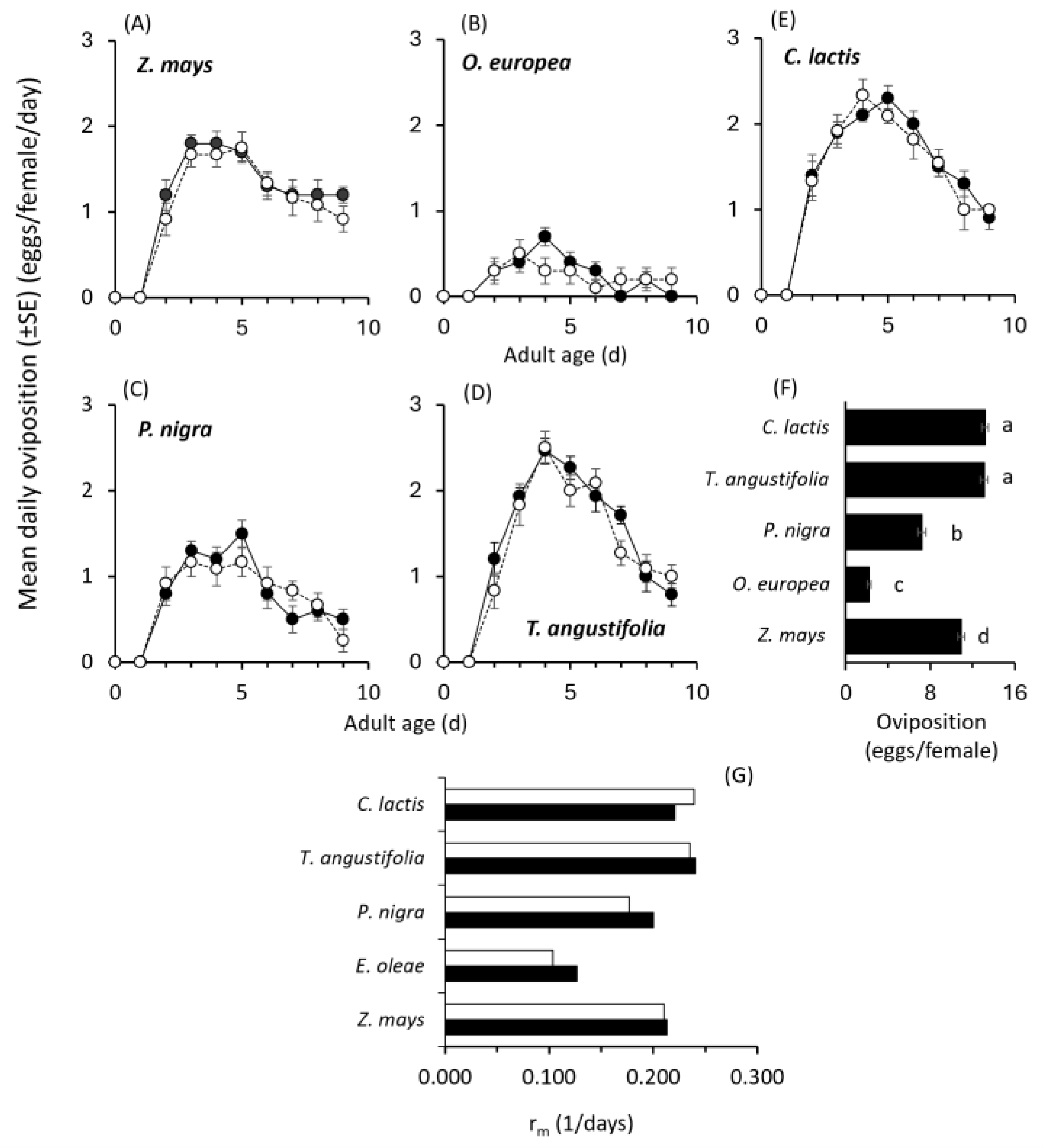 Plants 14 02912 g002 Plants 14 02912 g002