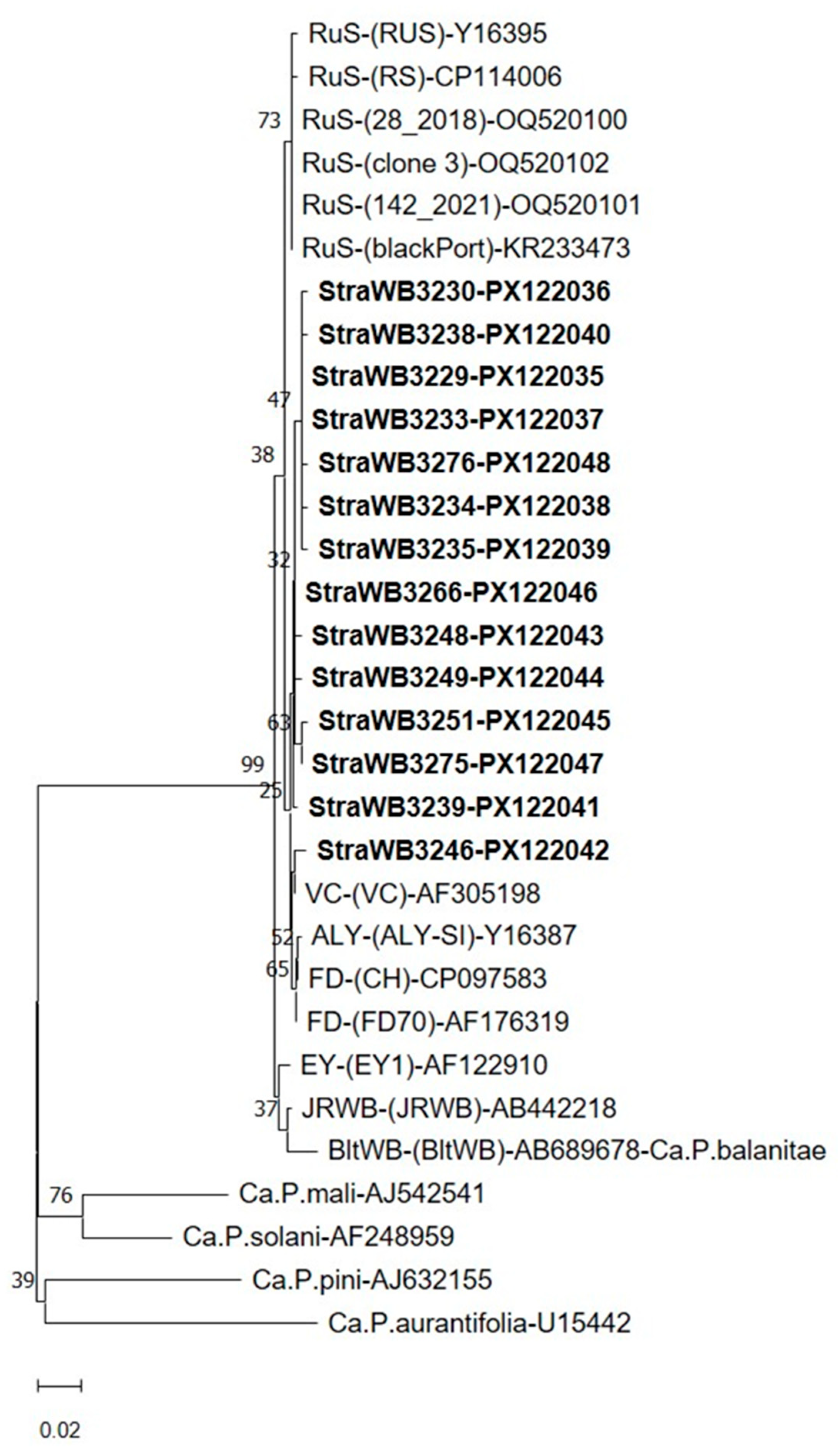 Plants 14 02914 g005 Plants 14 02914 g005