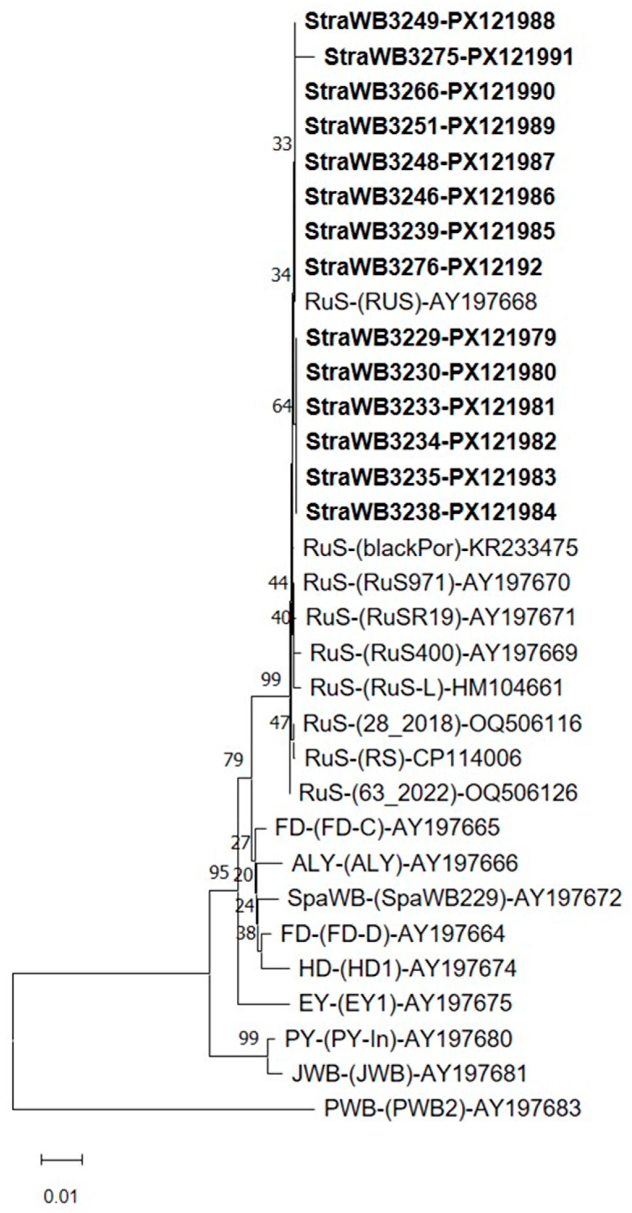 Plants 14 02914 g006 Plants 14 02914 g006